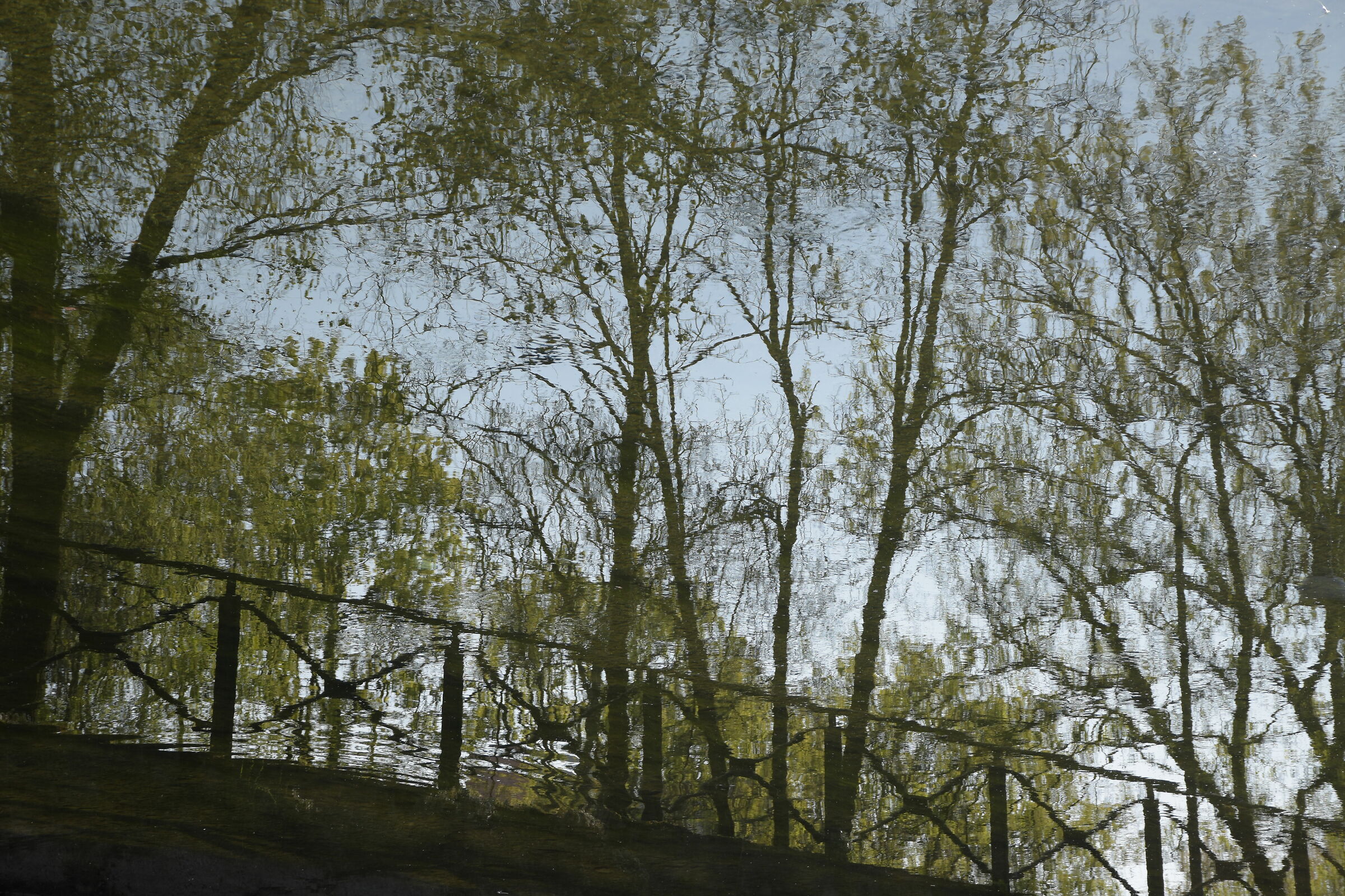 Riflessioni isolate 1