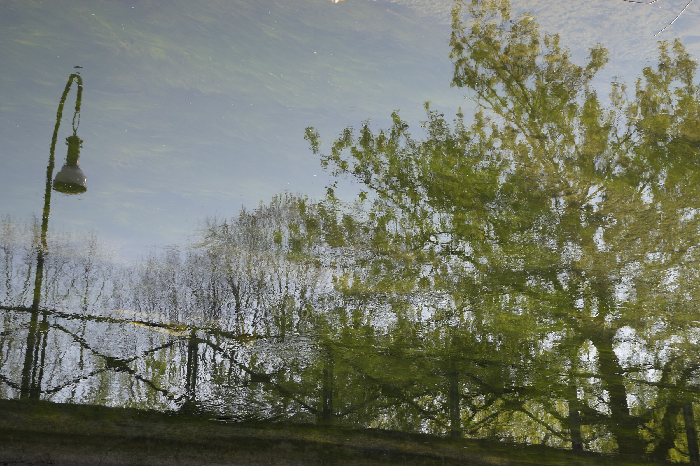 Riflessioni isolate 2