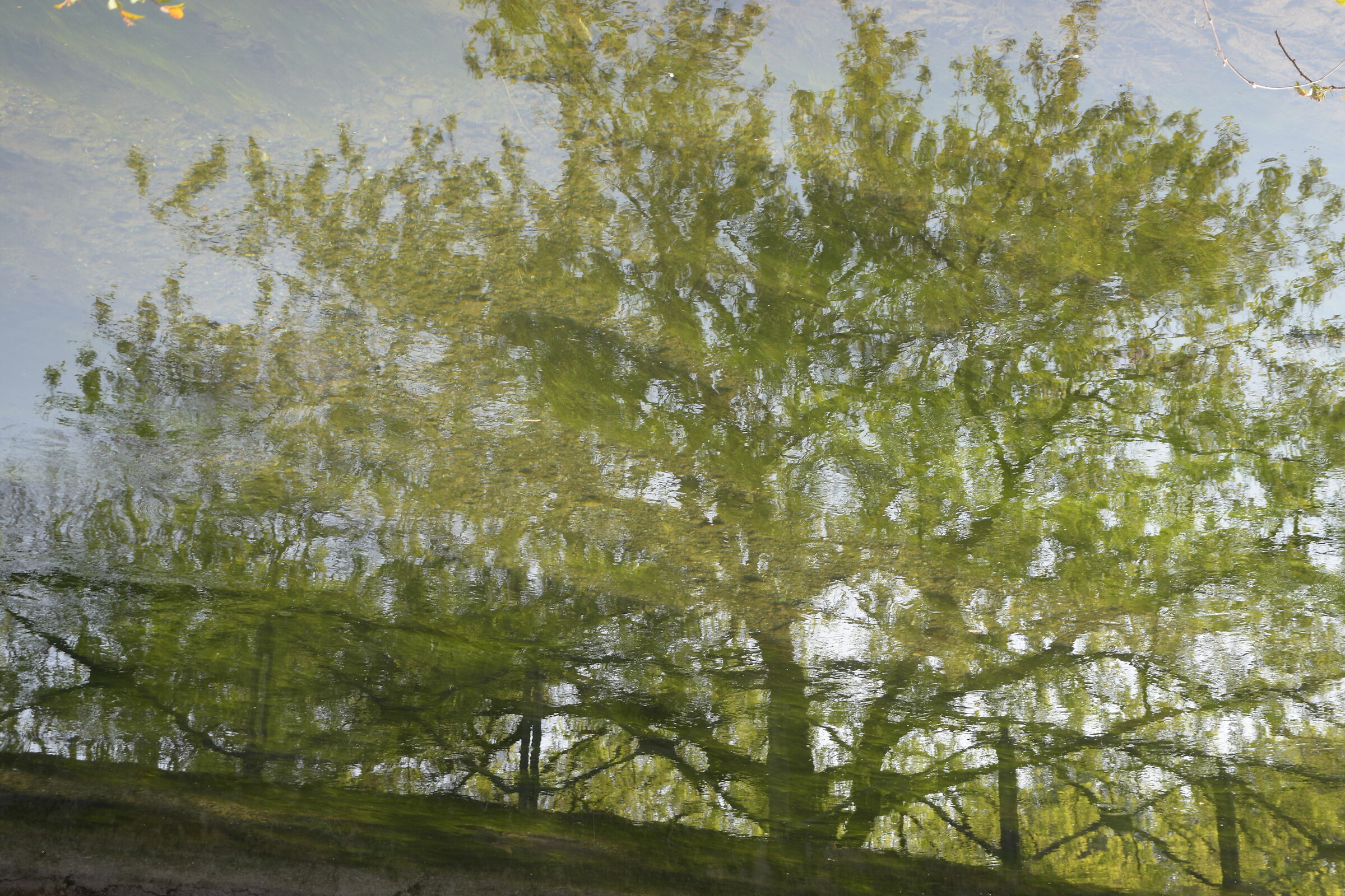 Riflessioni isolate 3