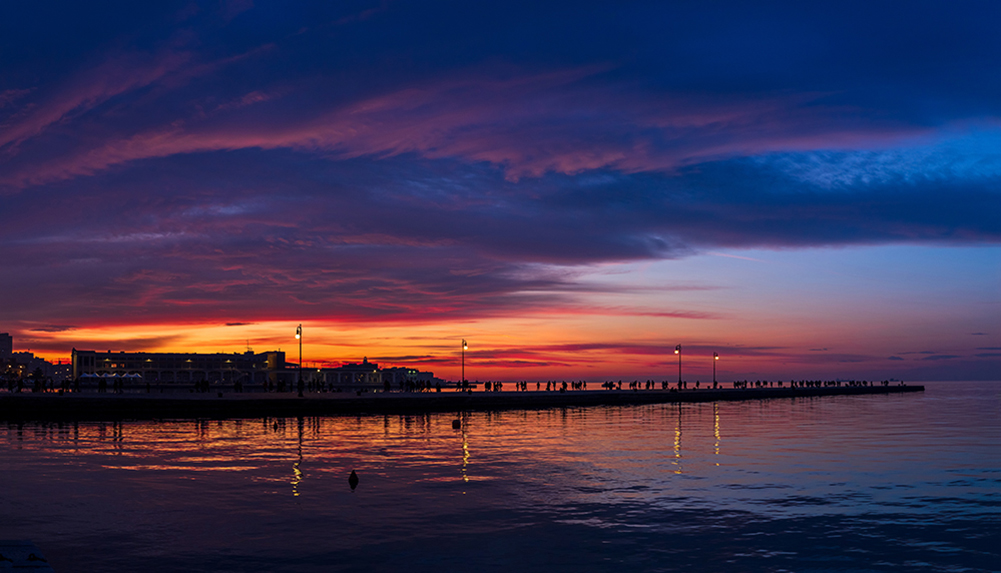 audacepano1