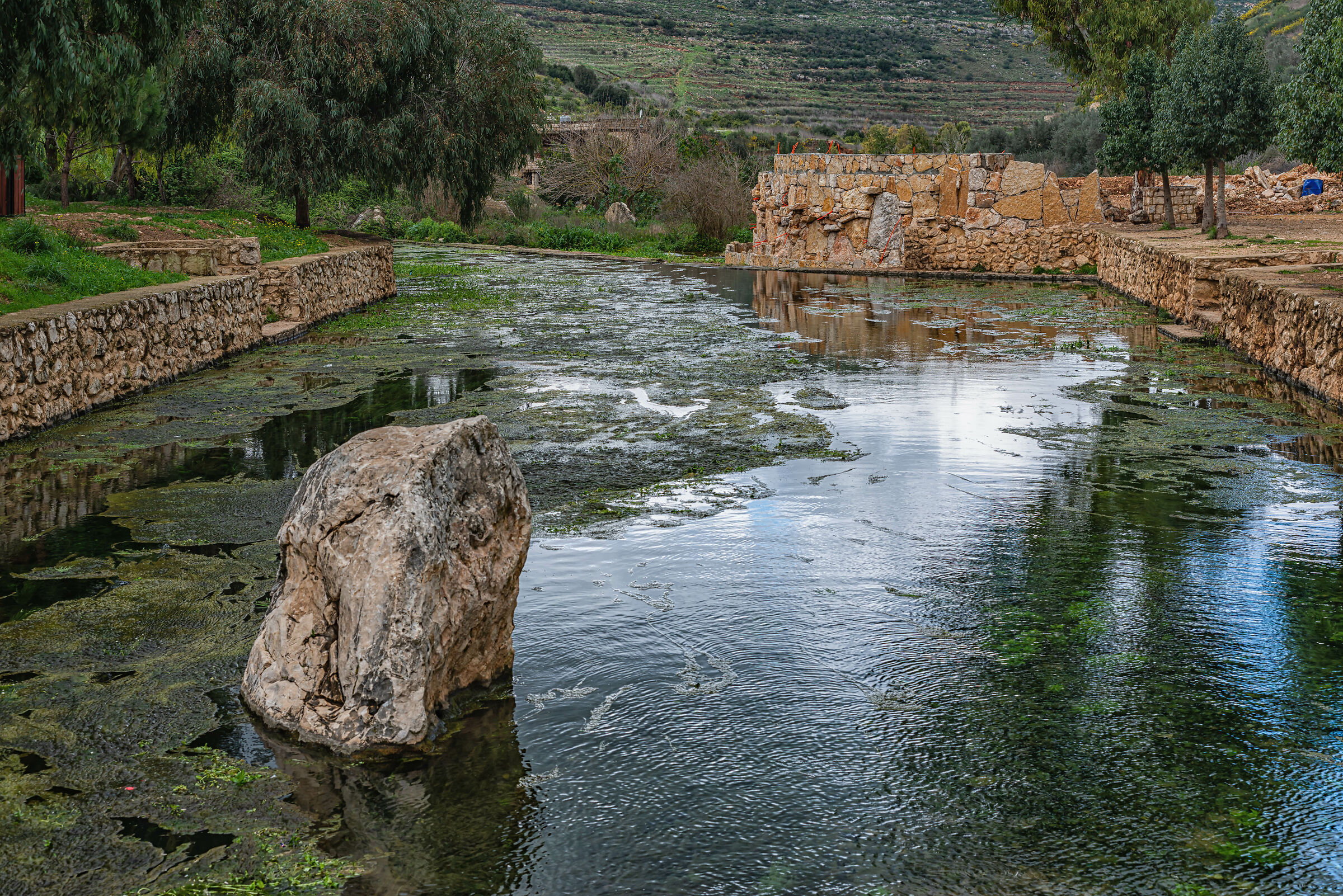 Una giornata a AlHujair Reserve