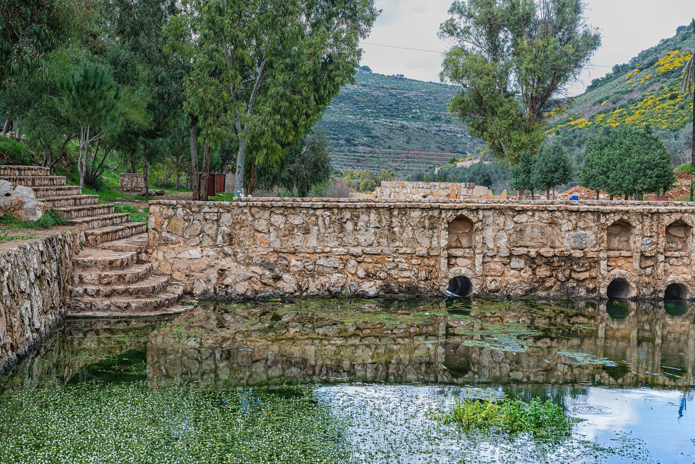 A Day At AlHujair Reserve