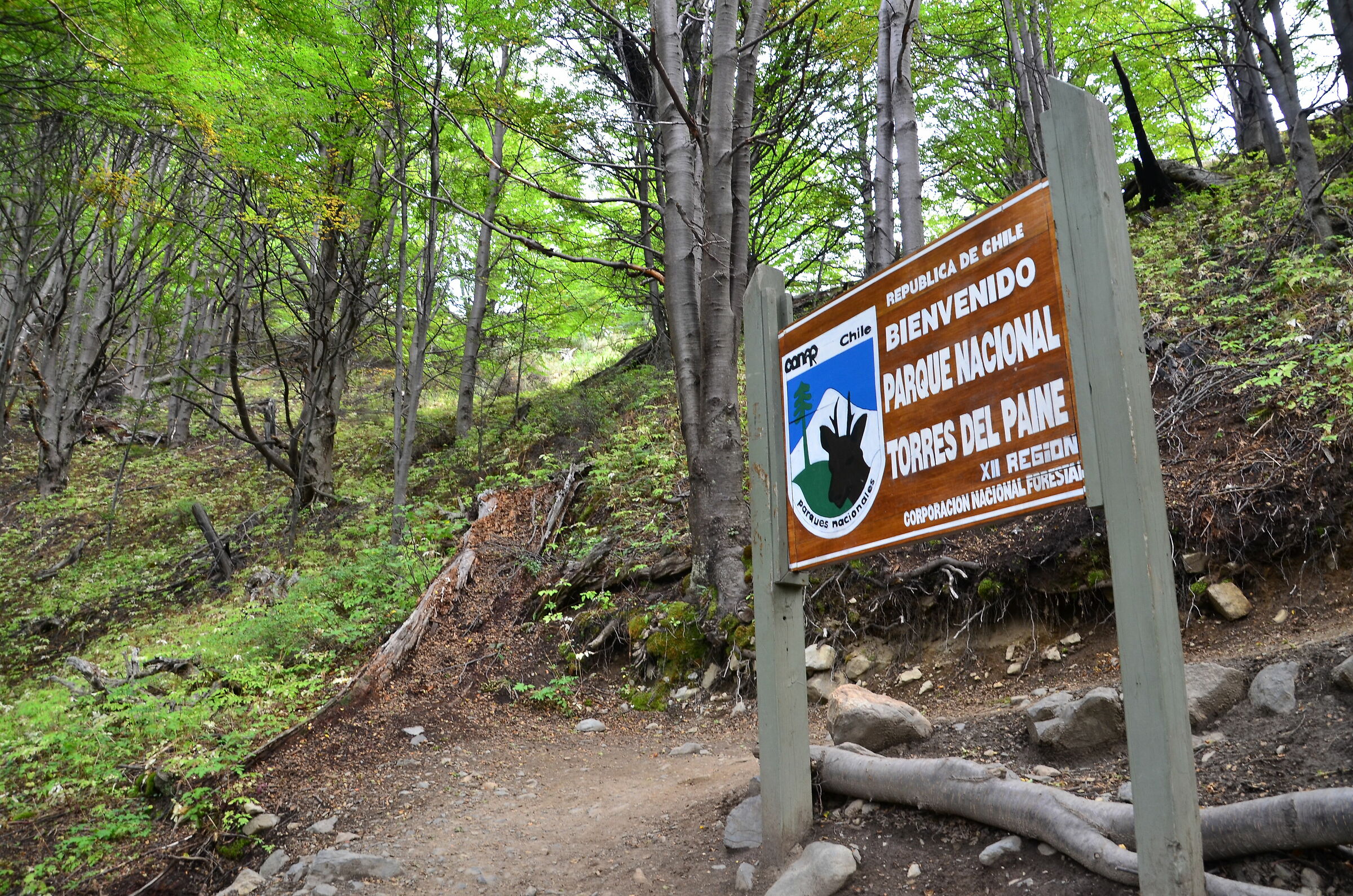 Una lunga ma proficua camminata