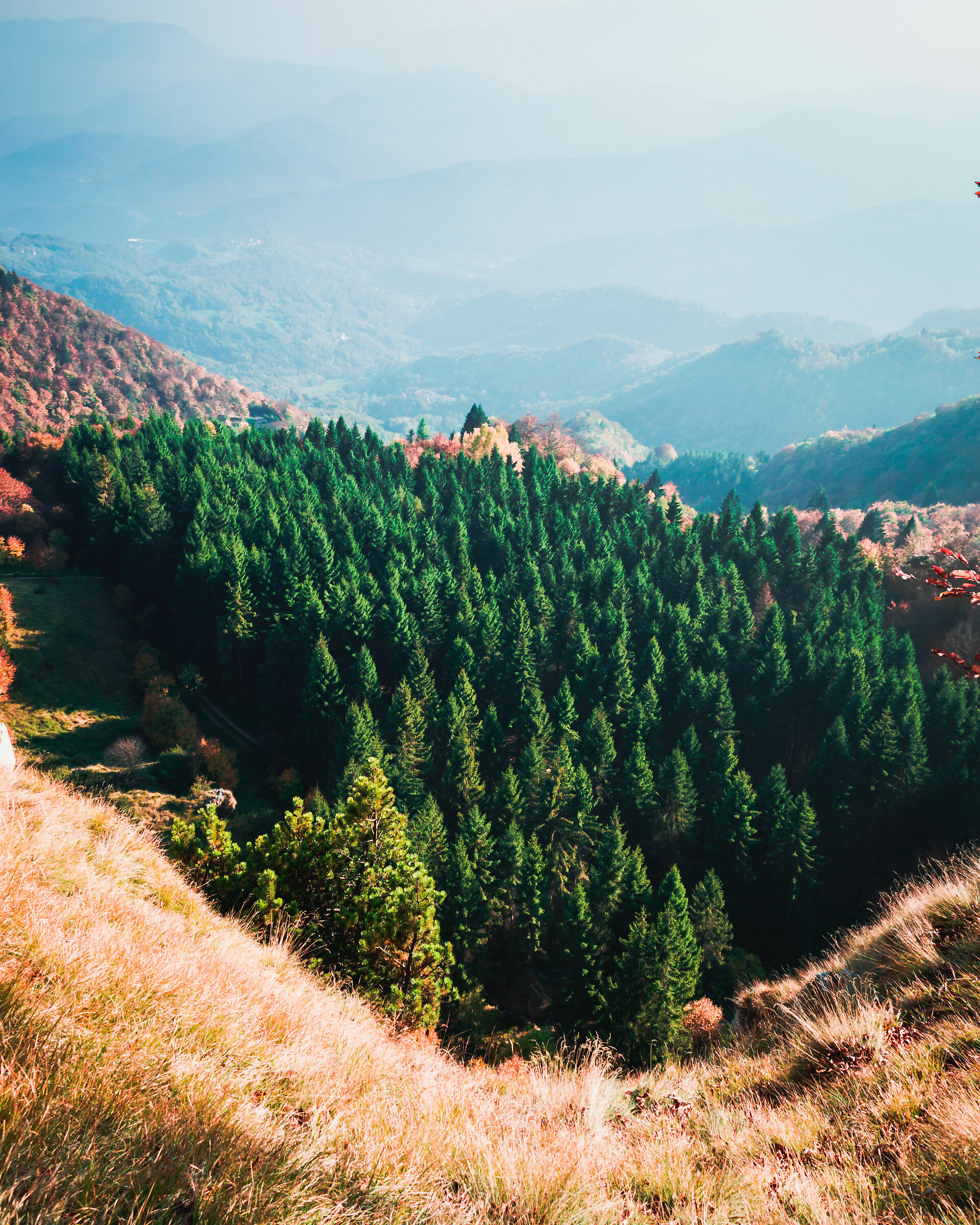 I Colori del Pasubio