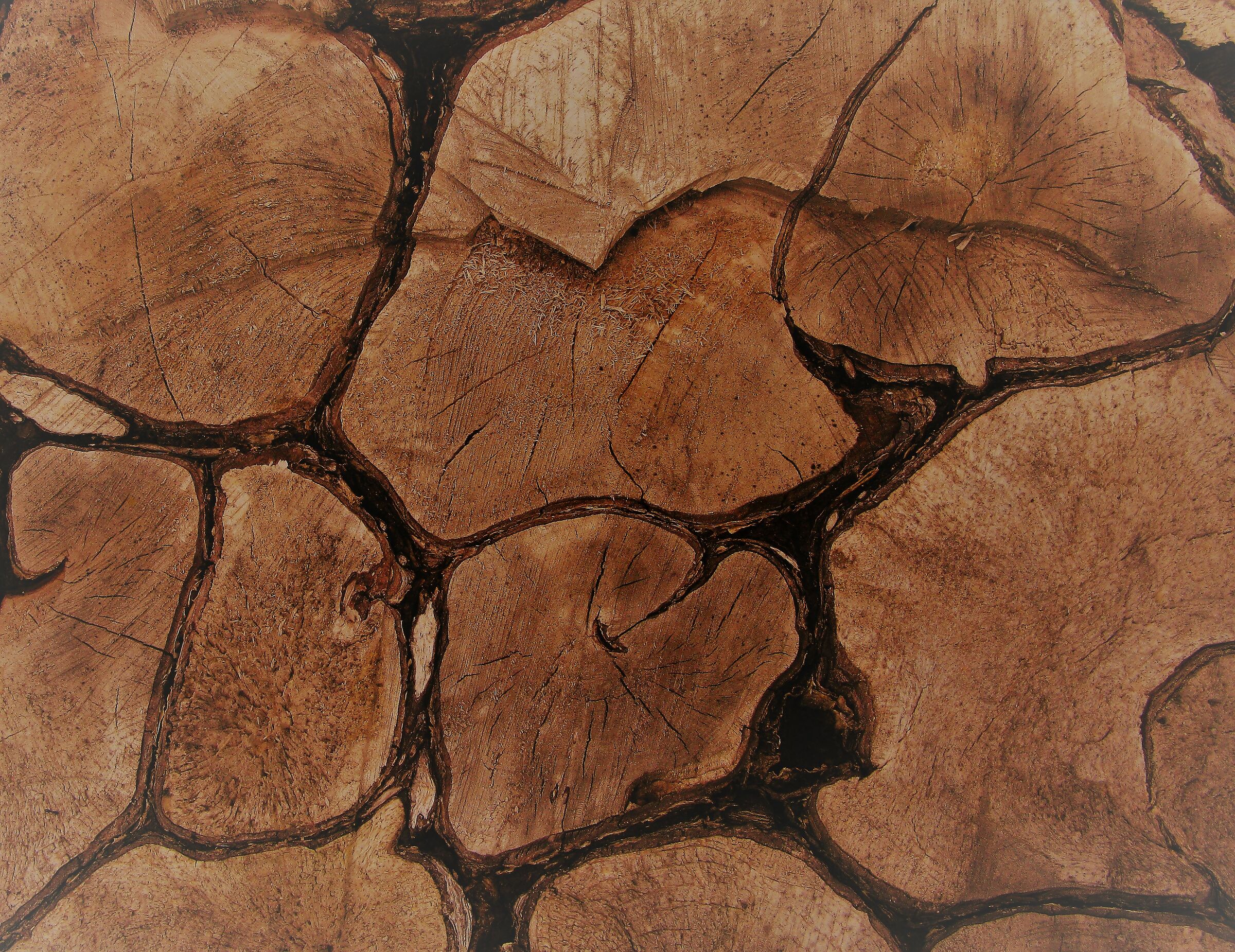 legno