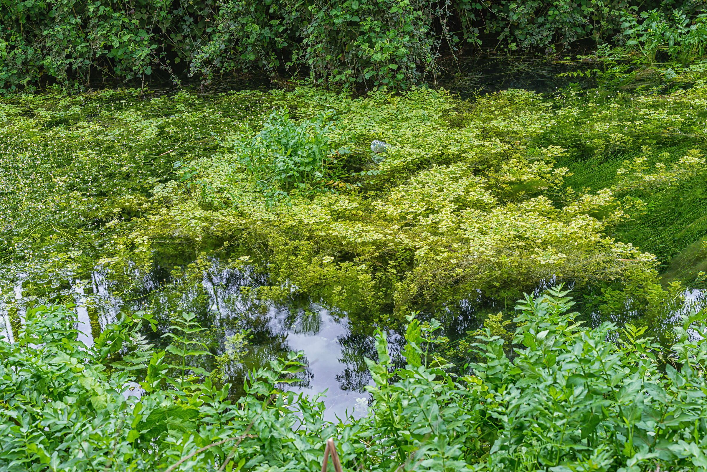 A Day At AlHujair Reserve