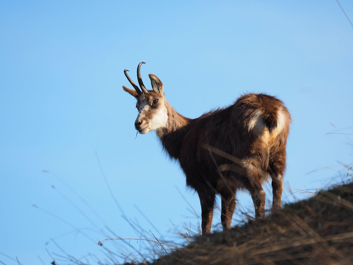 Ancora una foto prima del tramonto