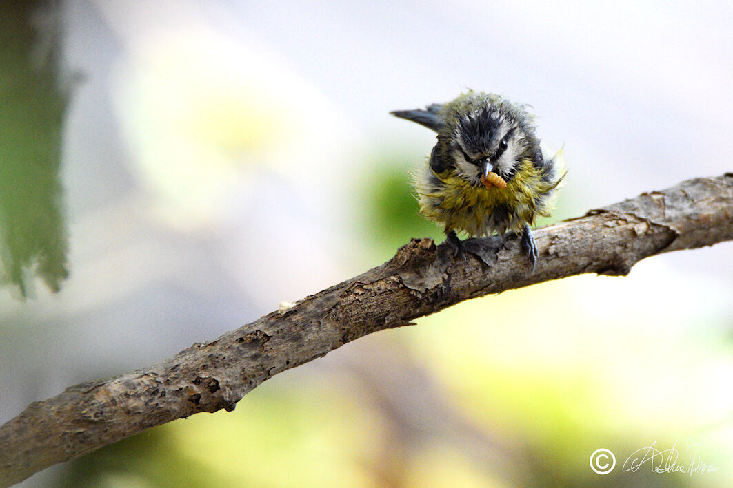 dopo un bagno mi è venuta una fame