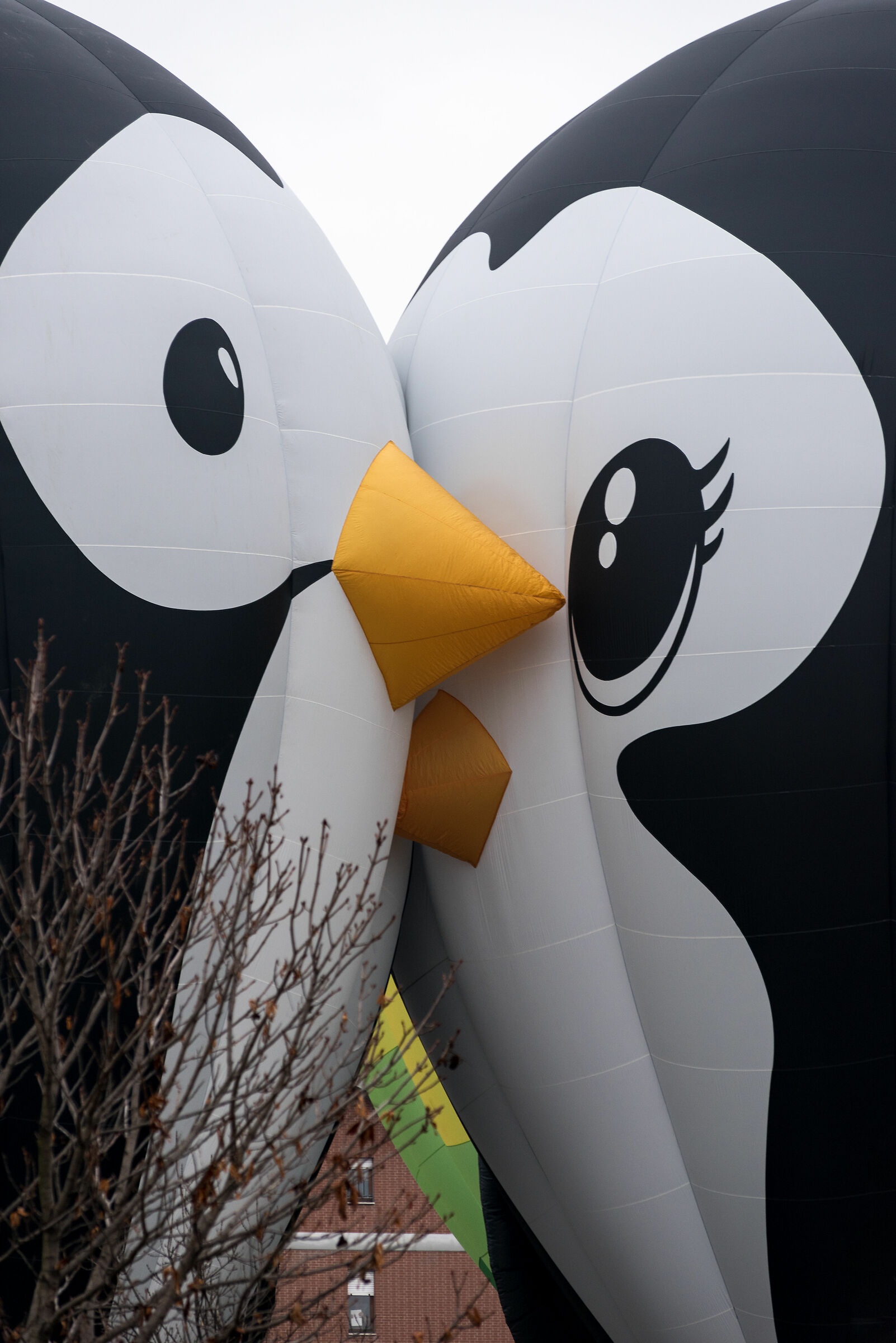 Mongolfiere Mondovì