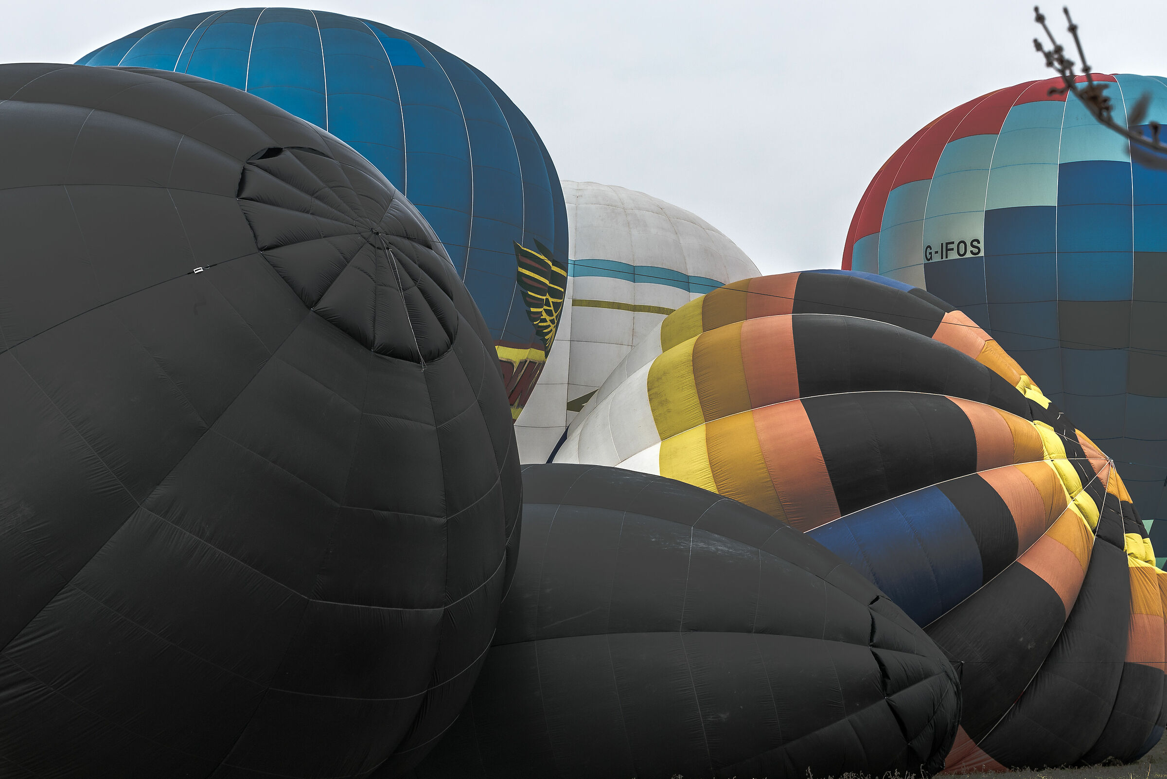 Mongolfiere Mondovì