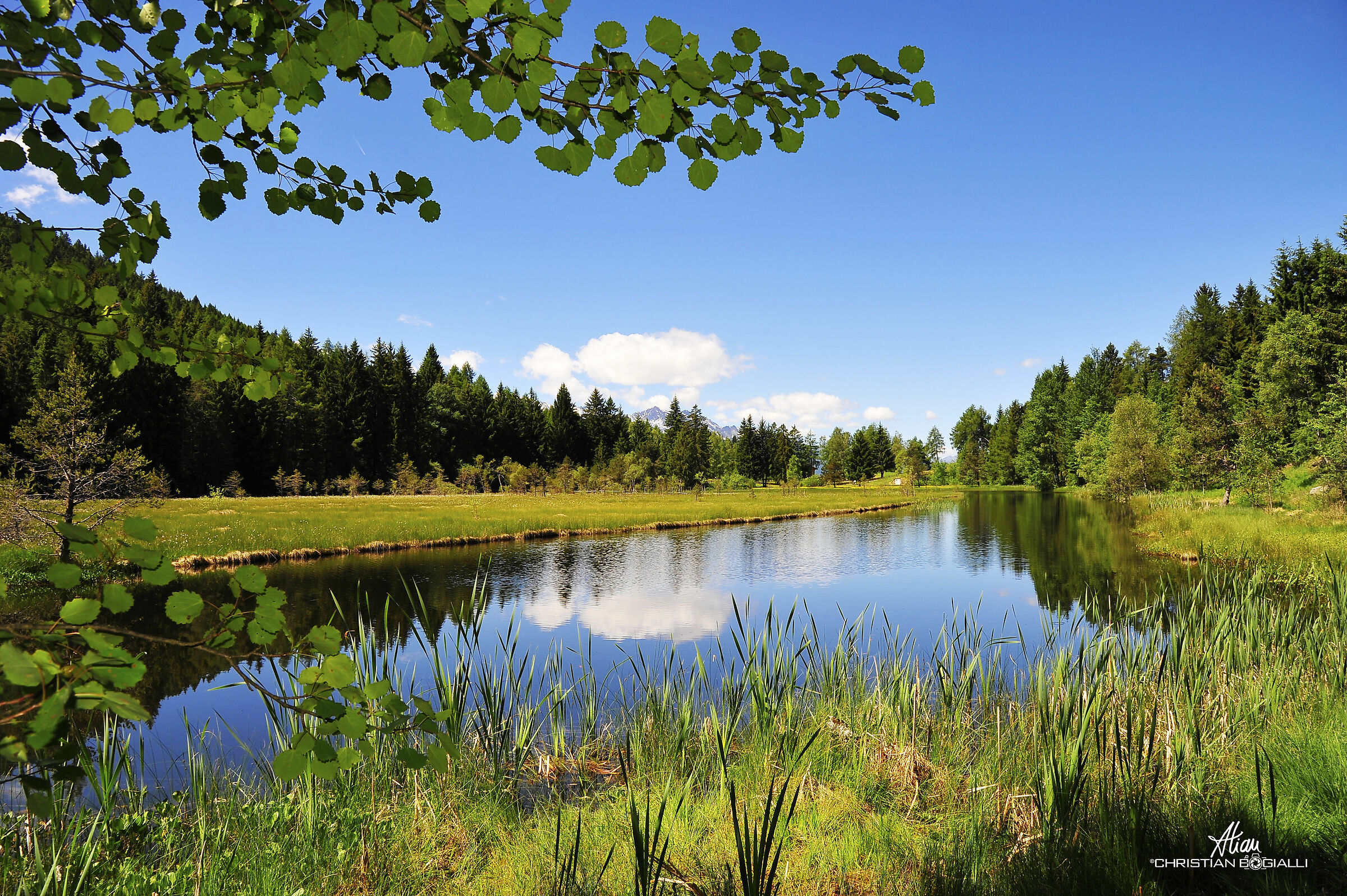 Primo click "famoso"