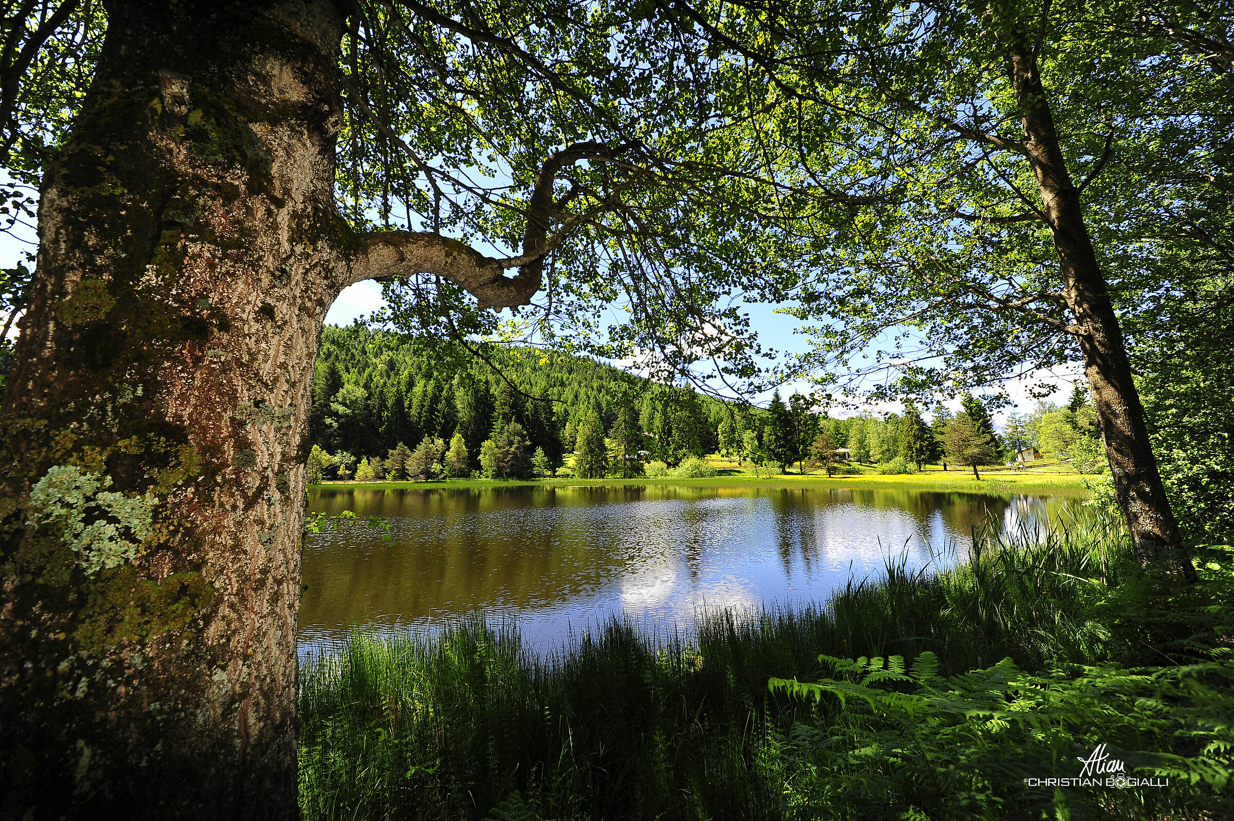 Seconda "famosa" cattura