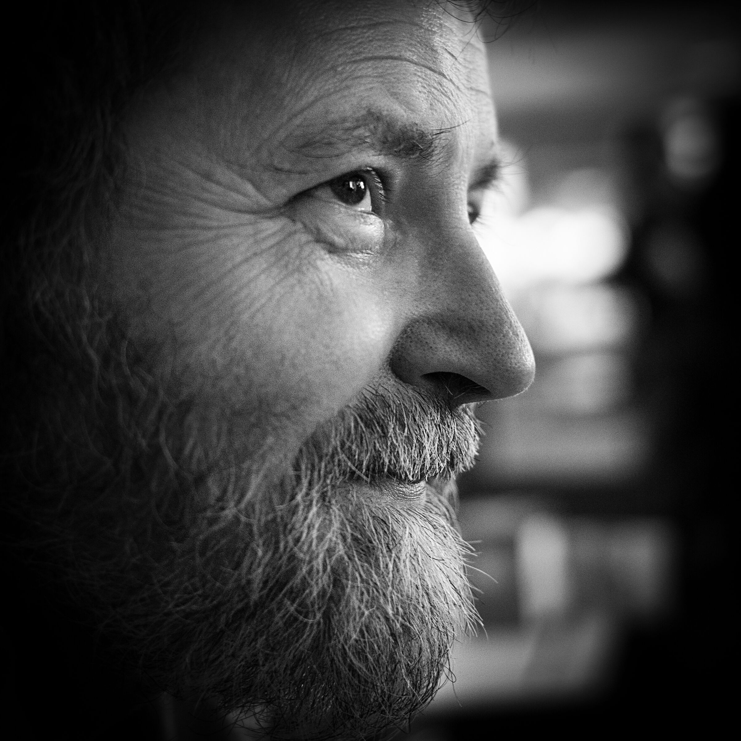 Zdravko Milic, artist