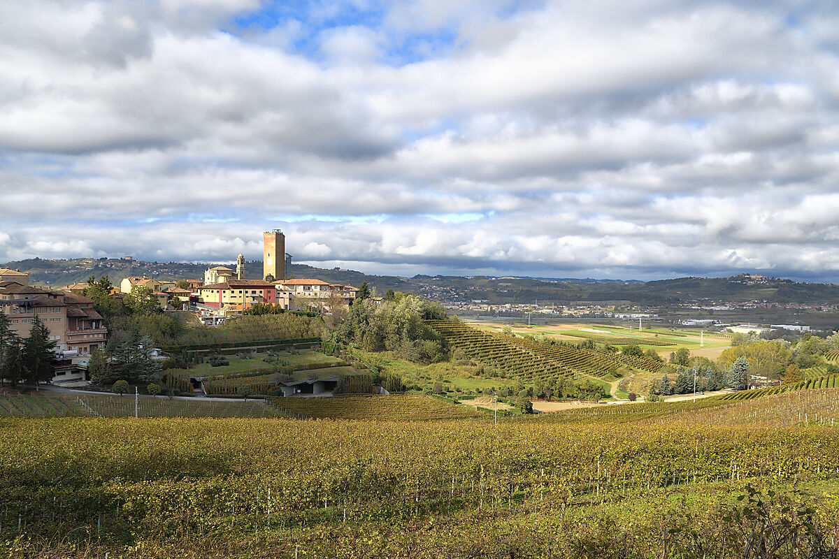 Barbaresco