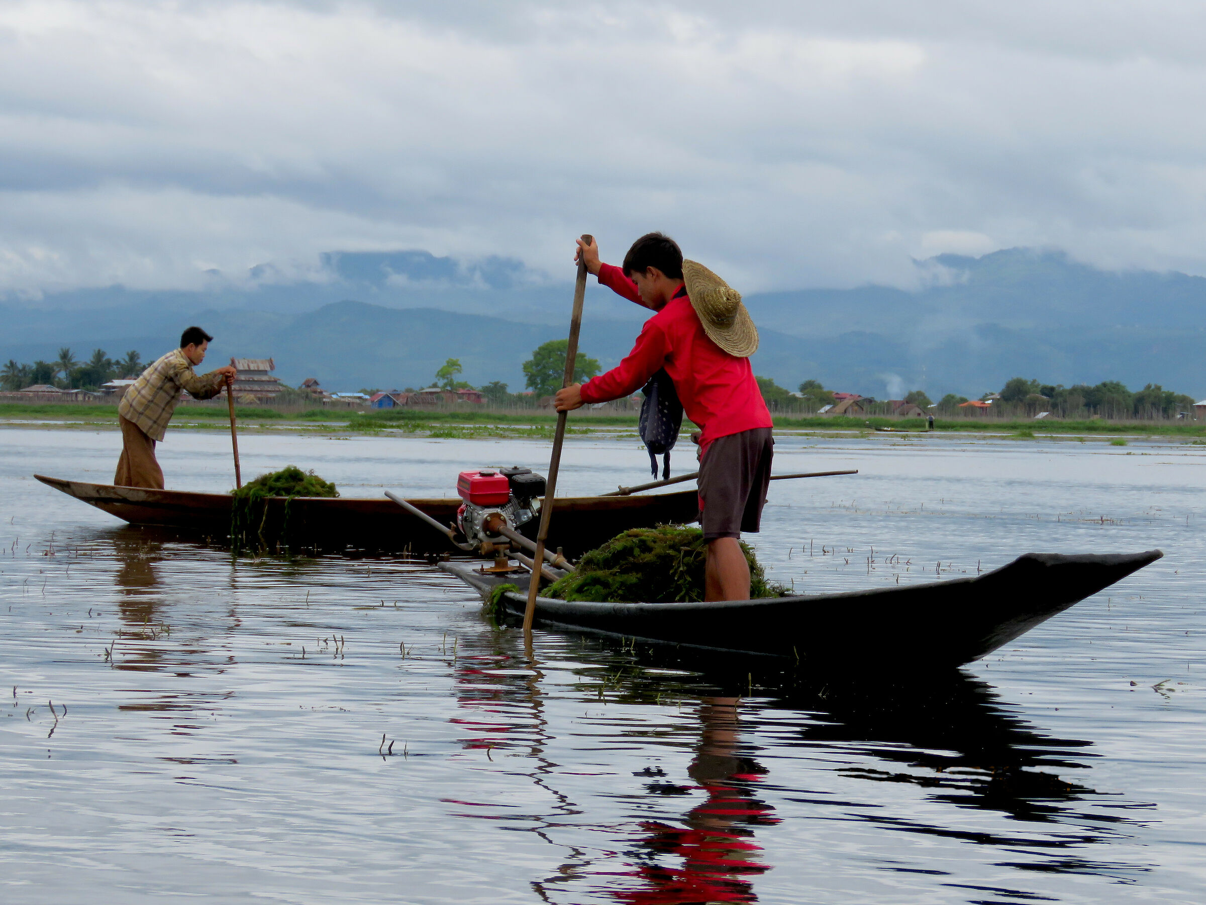 inle