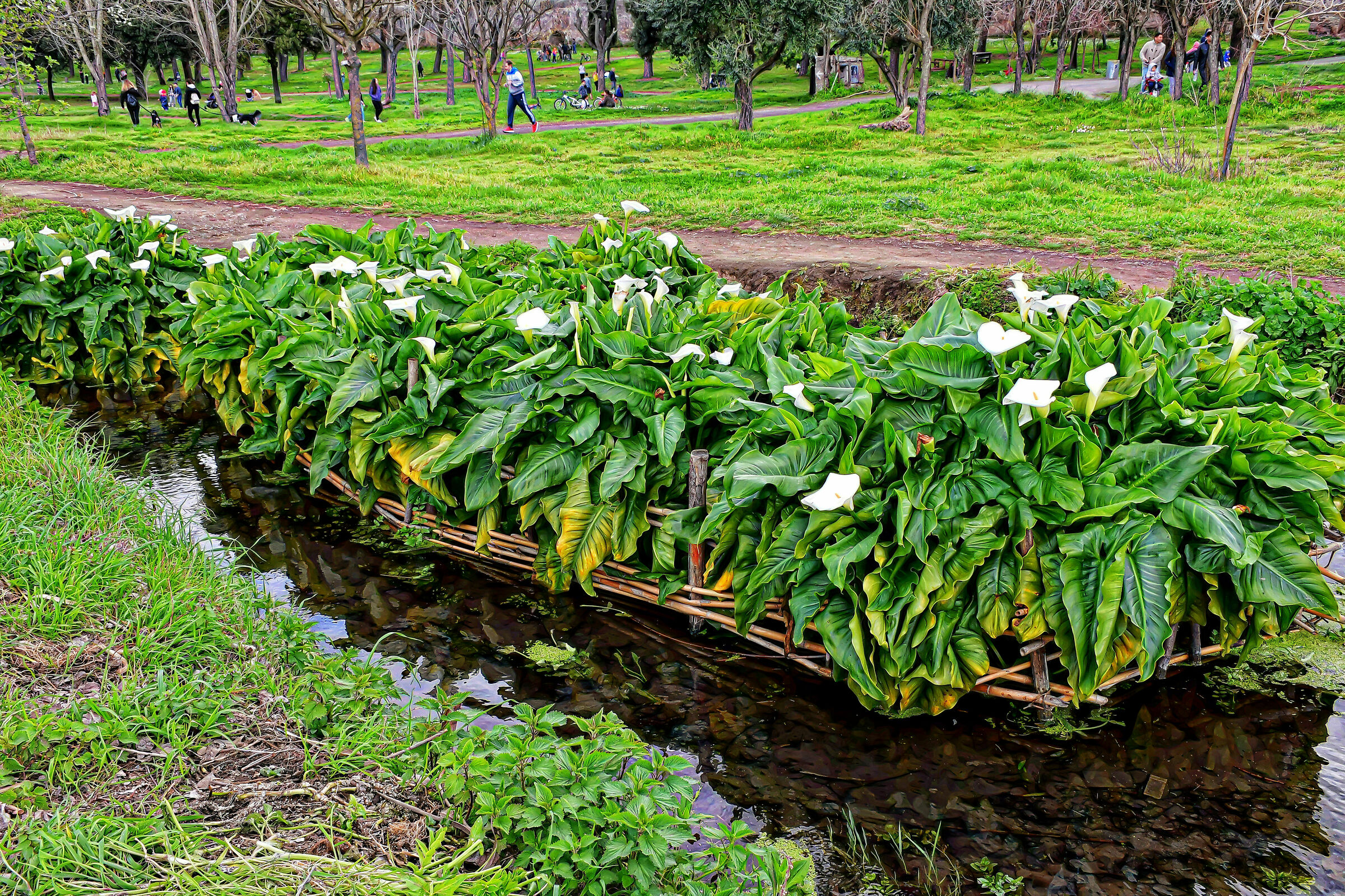 Quando si andava nei parchi