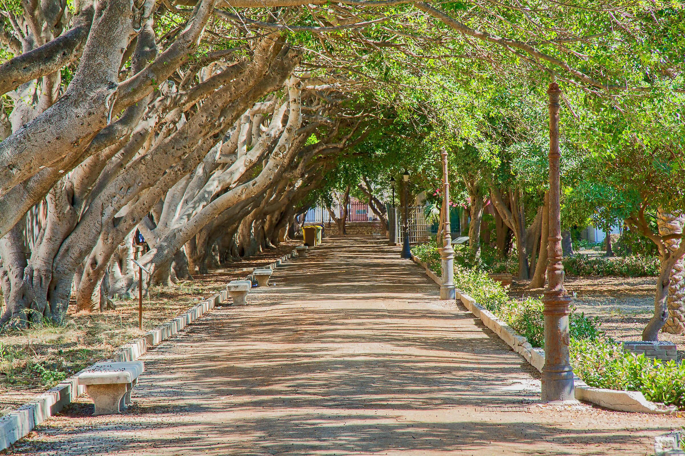 Trapani