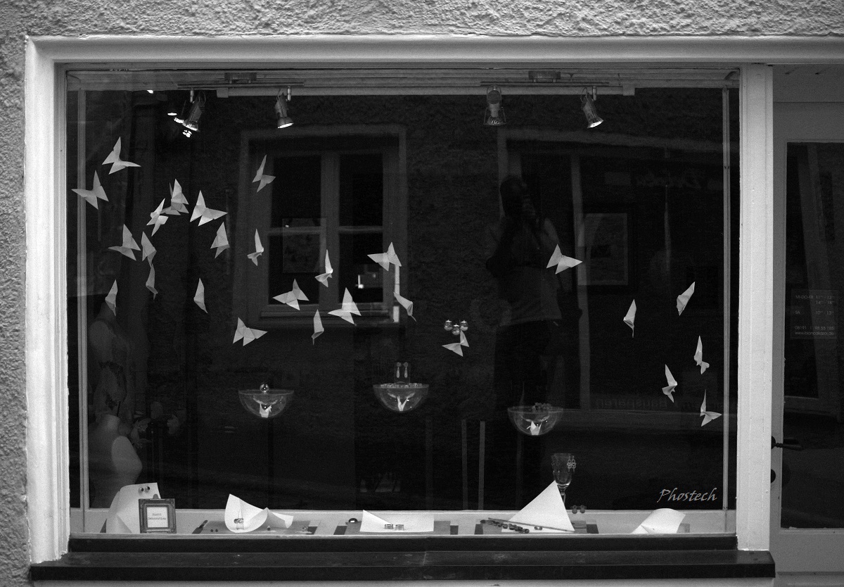 The Butterfly Catcher