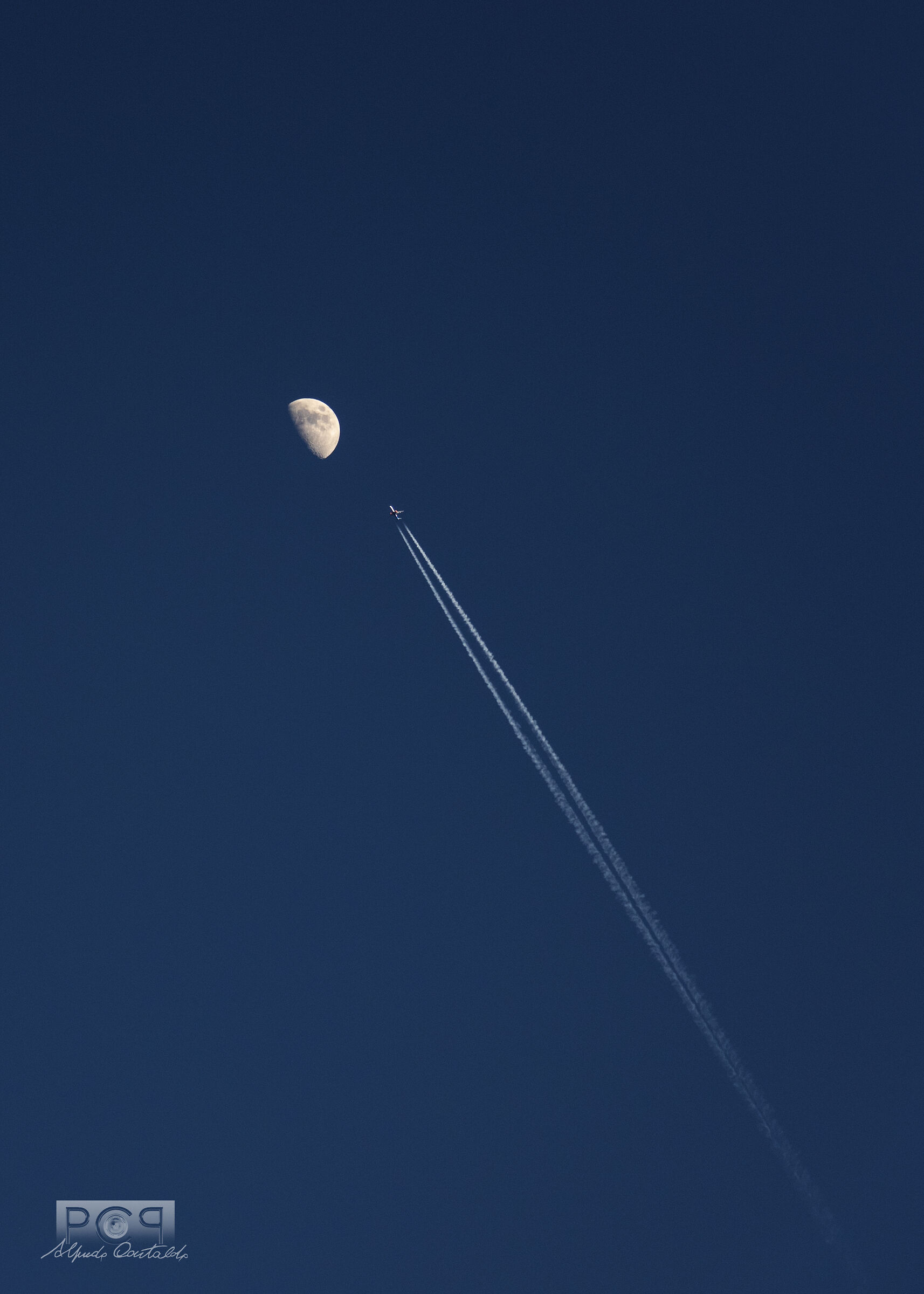 Alla ricerca del senno