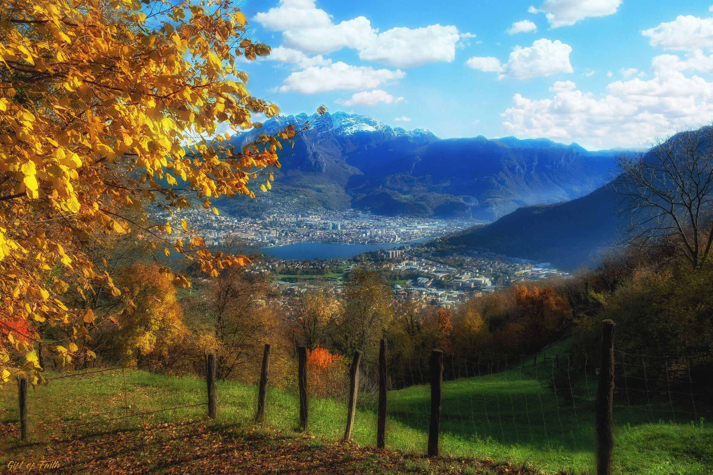 The colour of Autumn