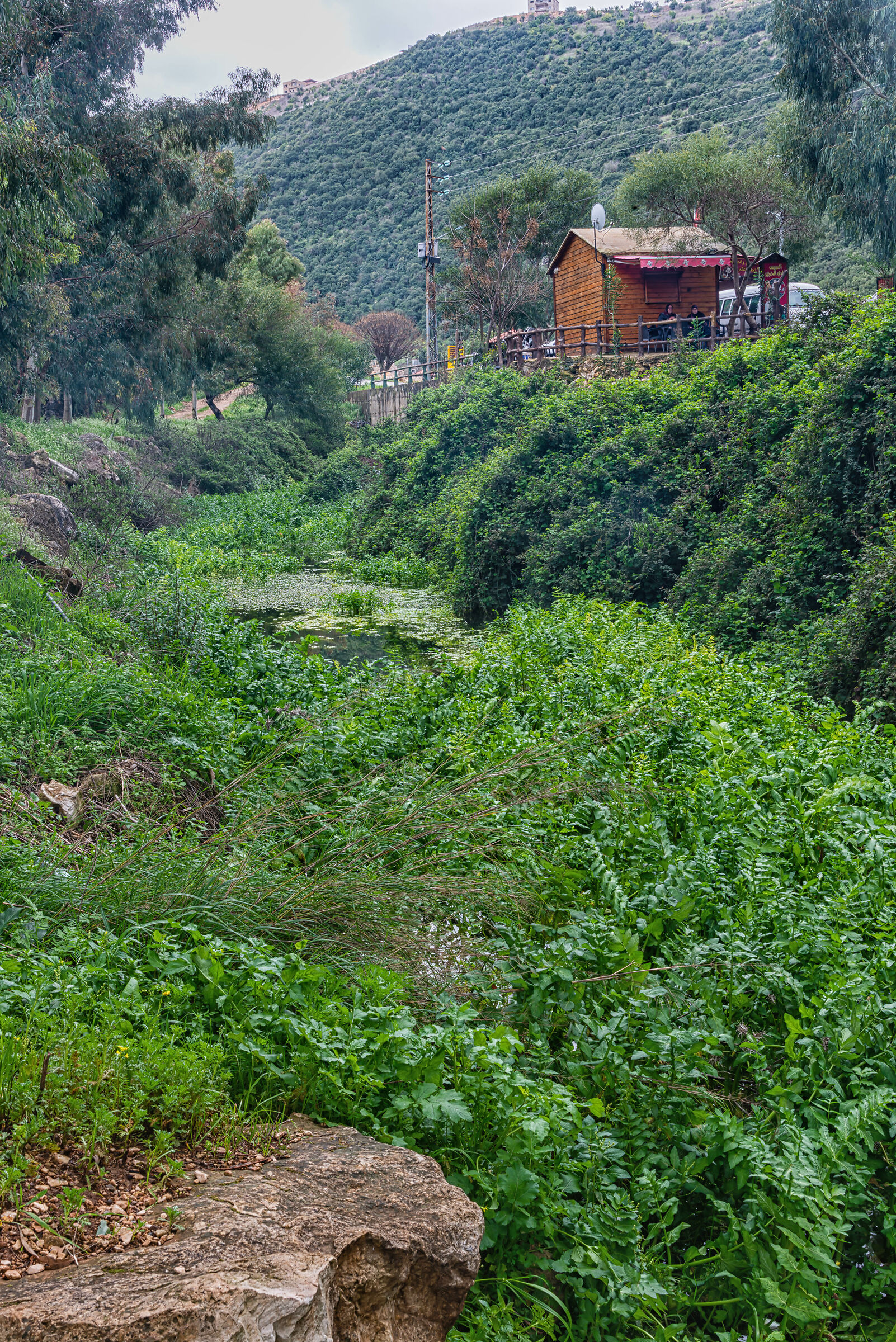 Una giornata a AlHujair Reserve