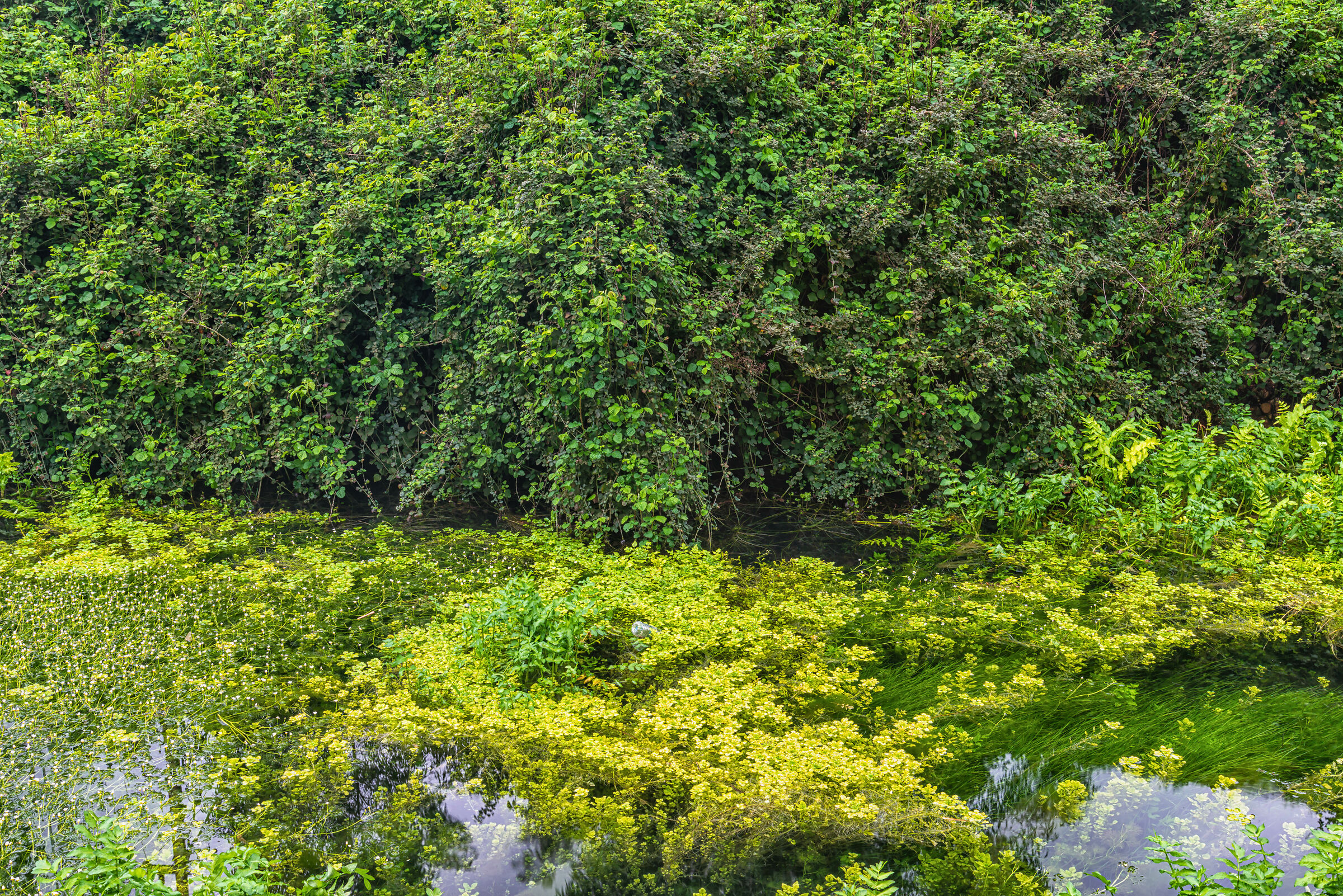 Una giornata a AlHujair Reserve