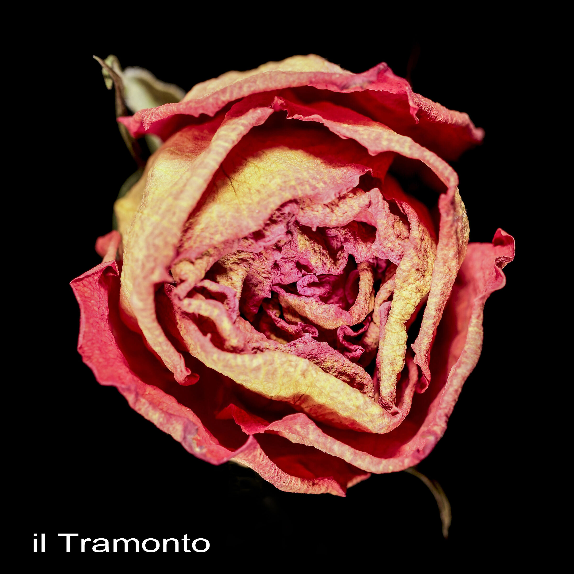 Dopo il tramonto arriverà una meravigliosa aurora