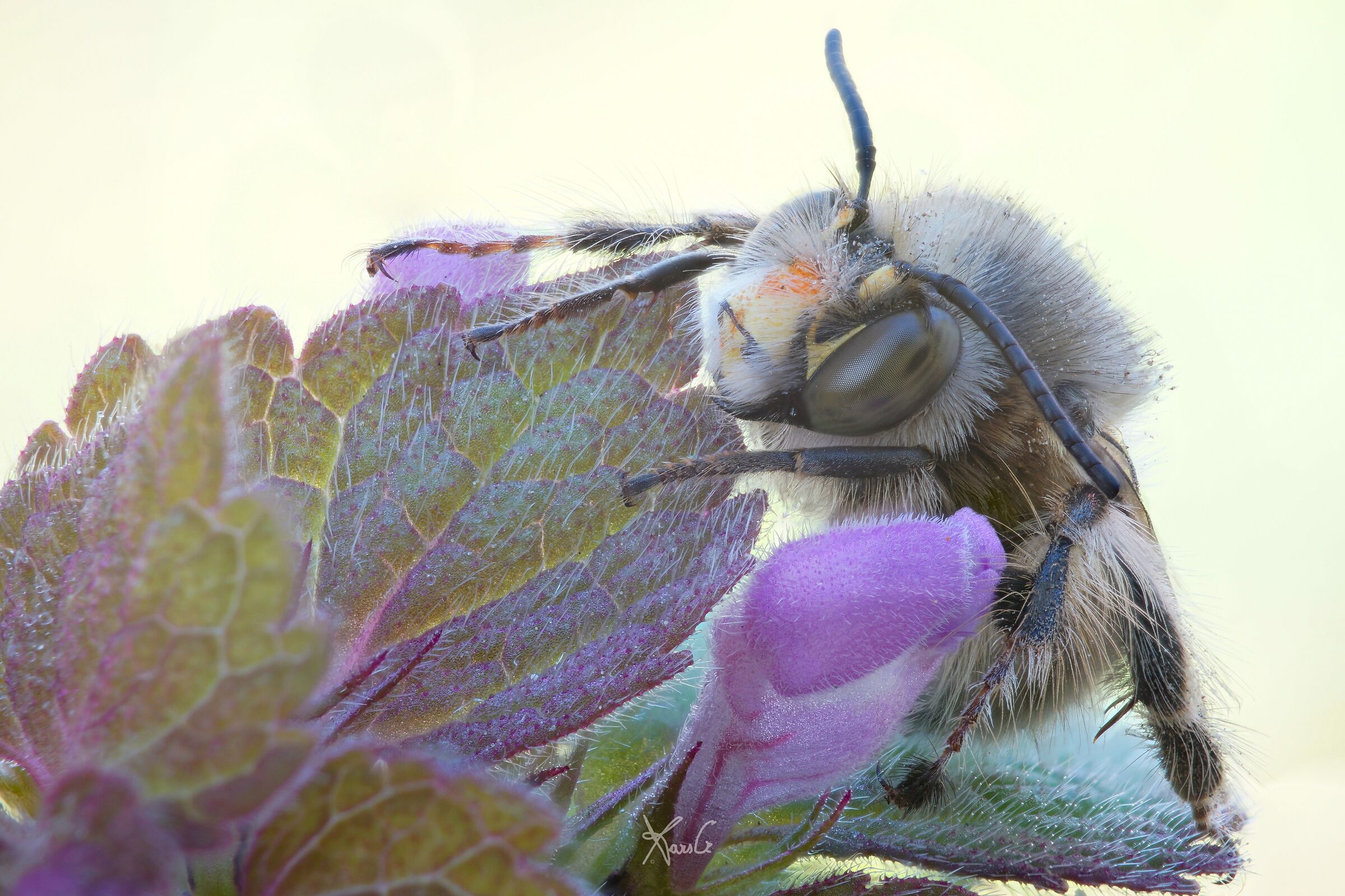 And beyond the light