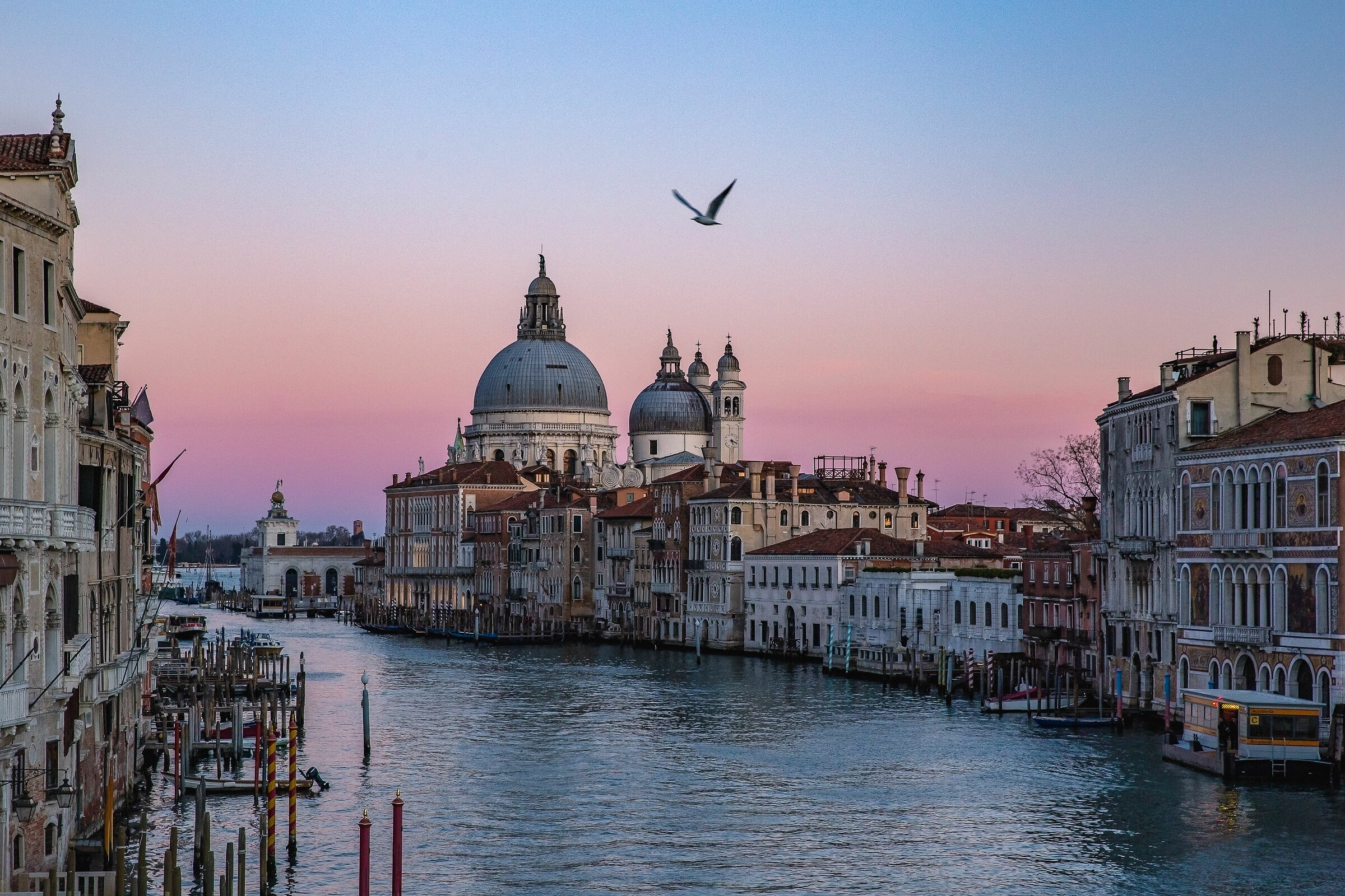 La bellezza (forse) salverà il mondo ....