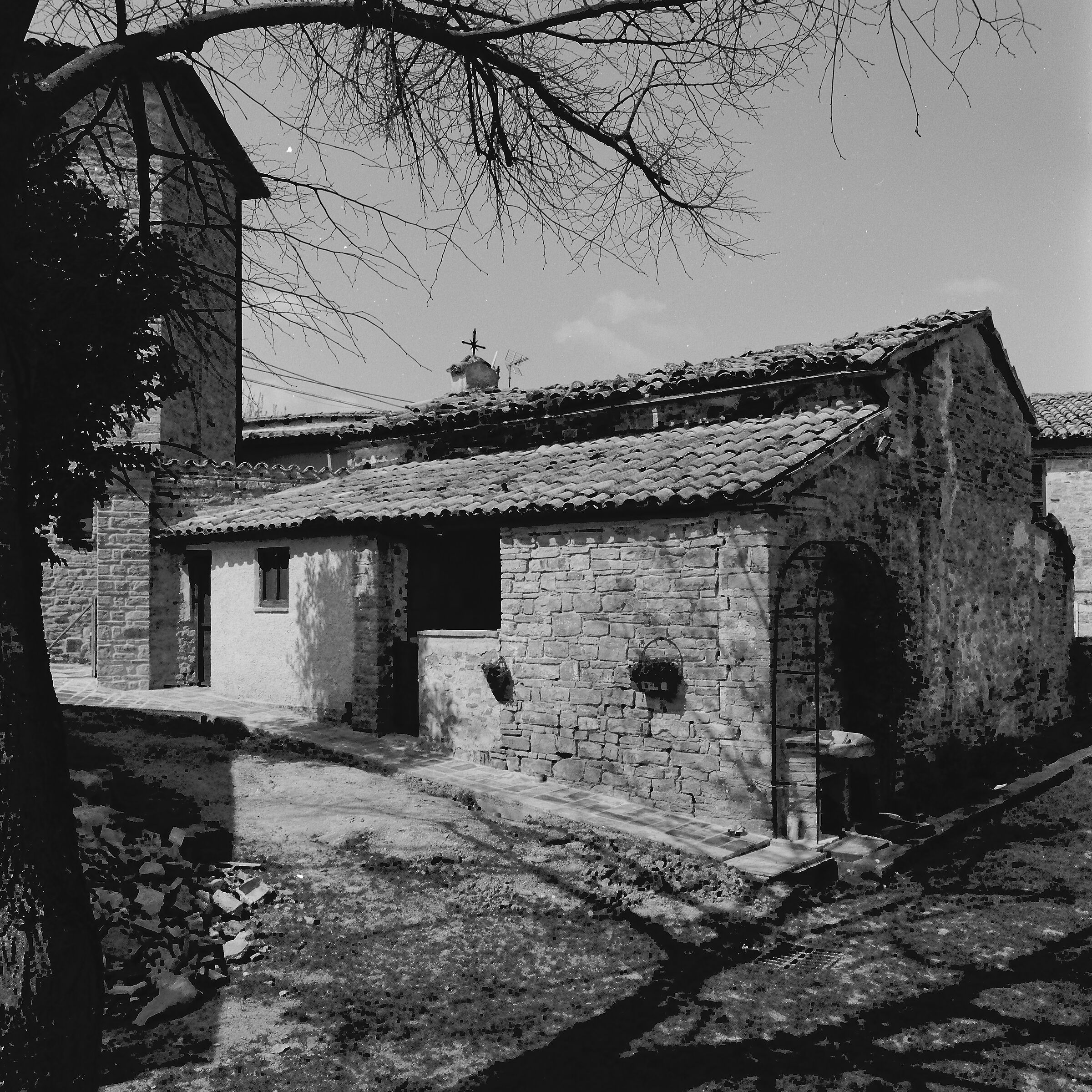 Ville di Serra San Quirico - giardino privato