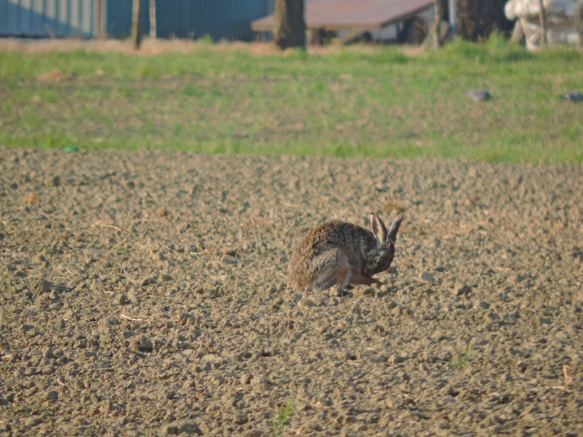 Incontri casuali a distanza