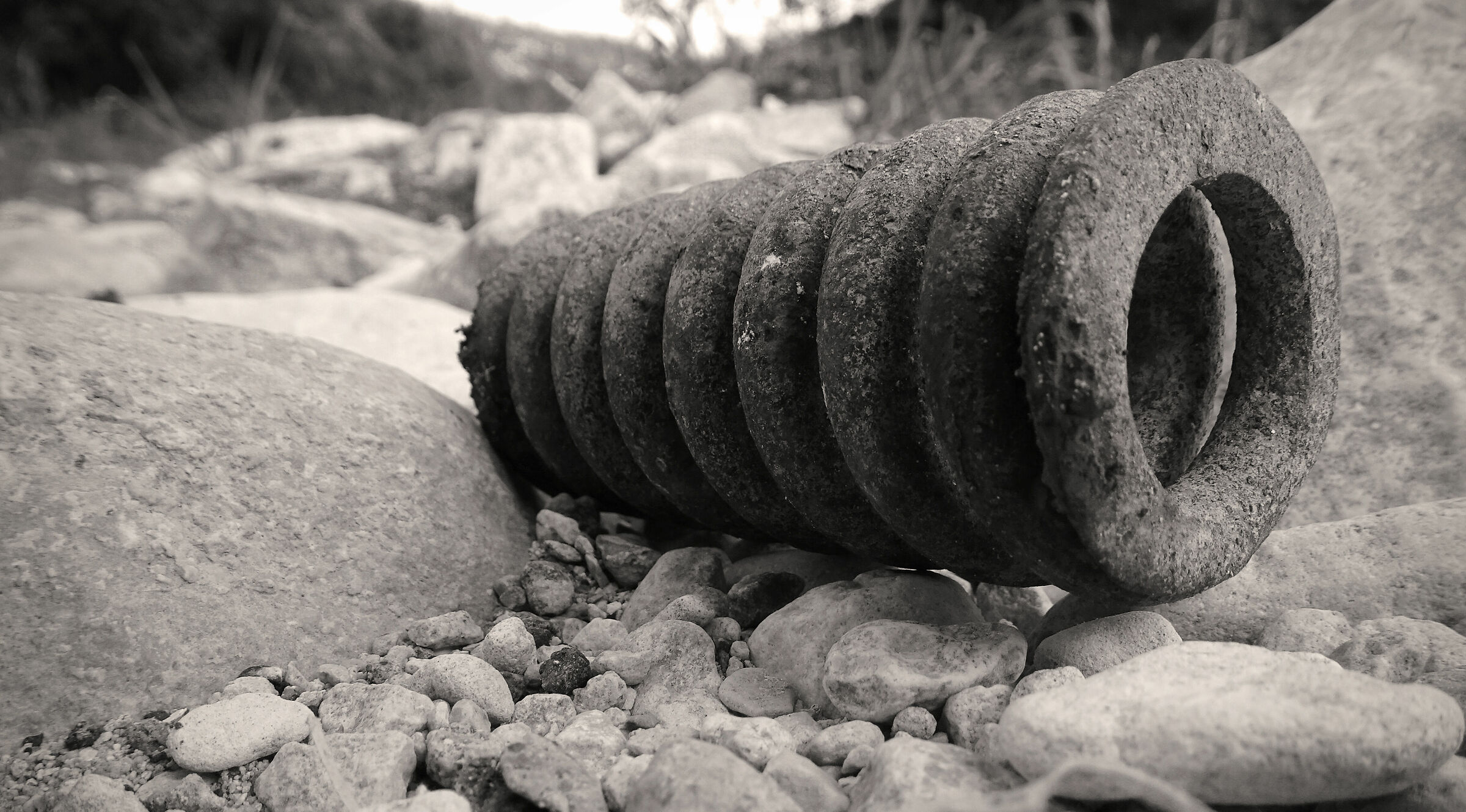 comunque vada non si molla