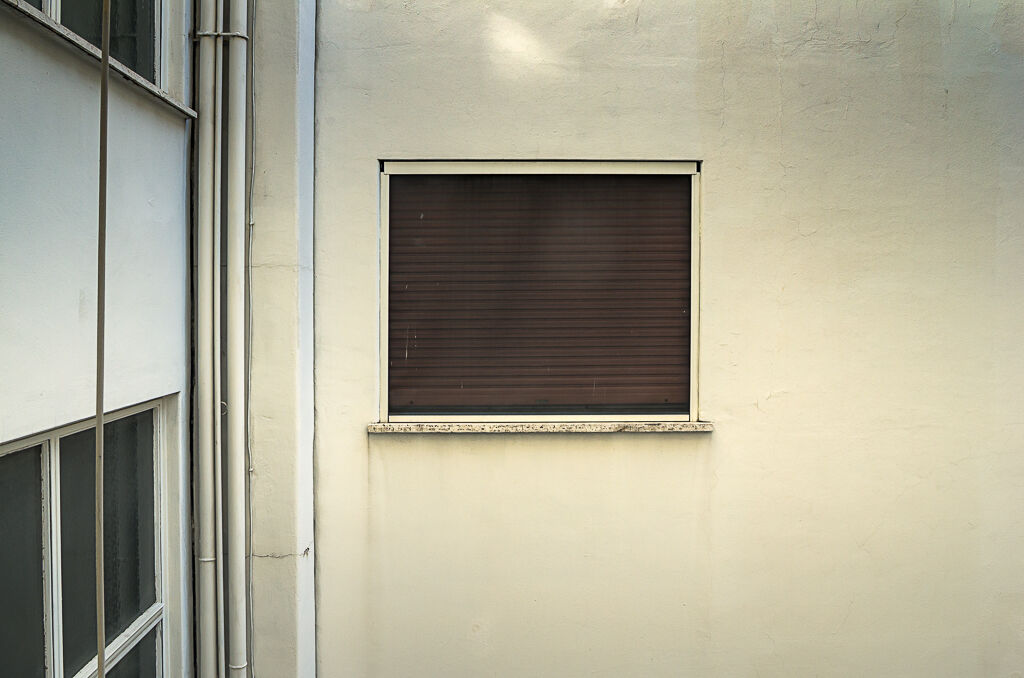 La finestra sul cortile