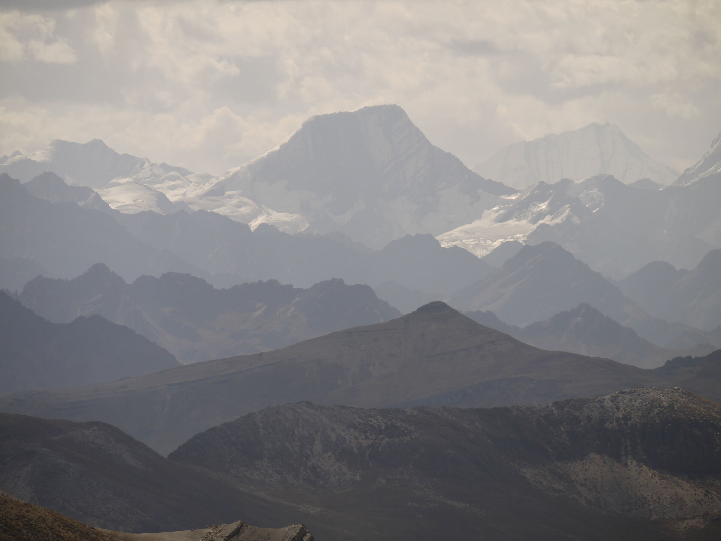 Profili andini, 2016