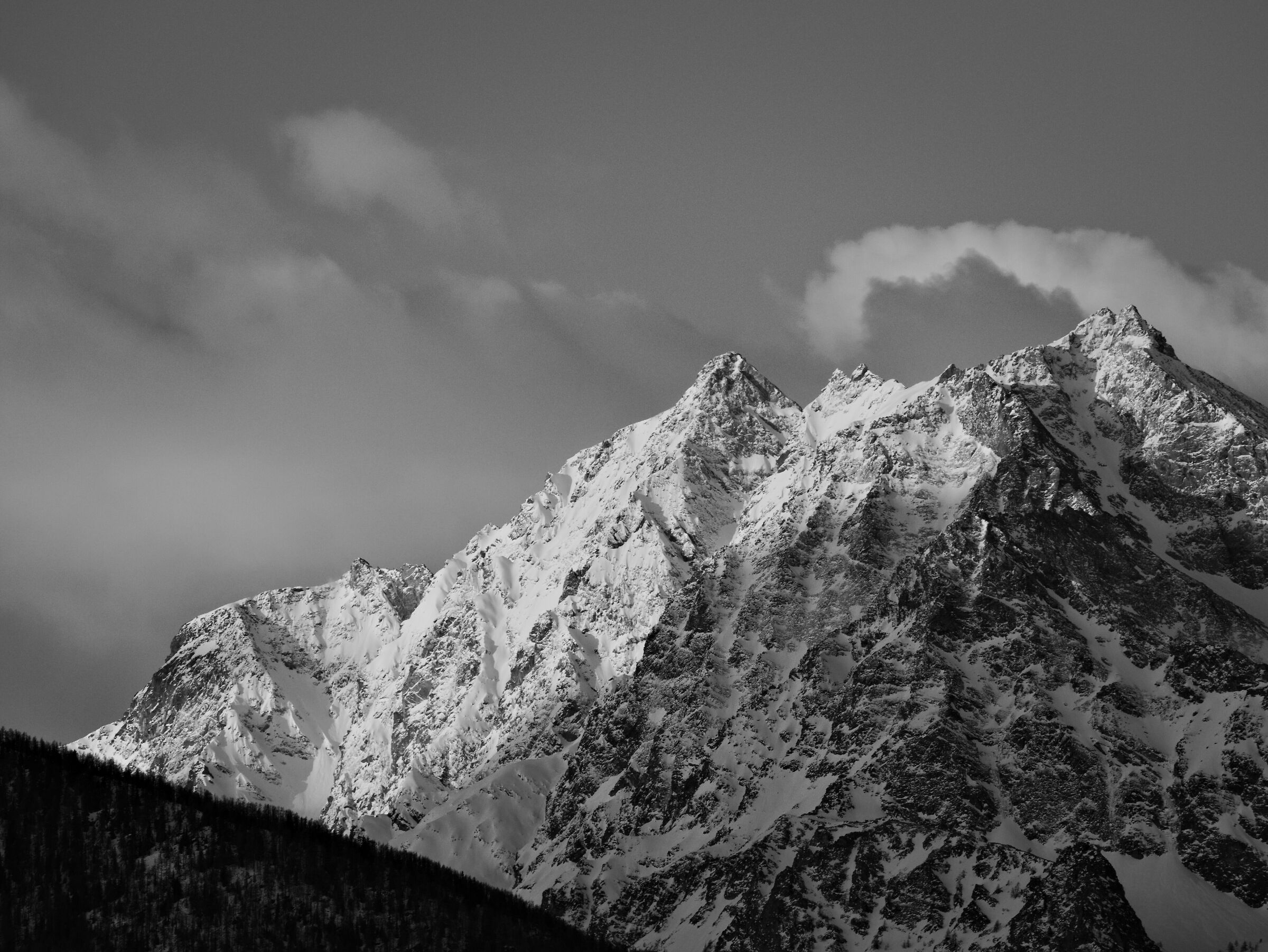 His Majesty the Great Roise, taken by Verrayes.