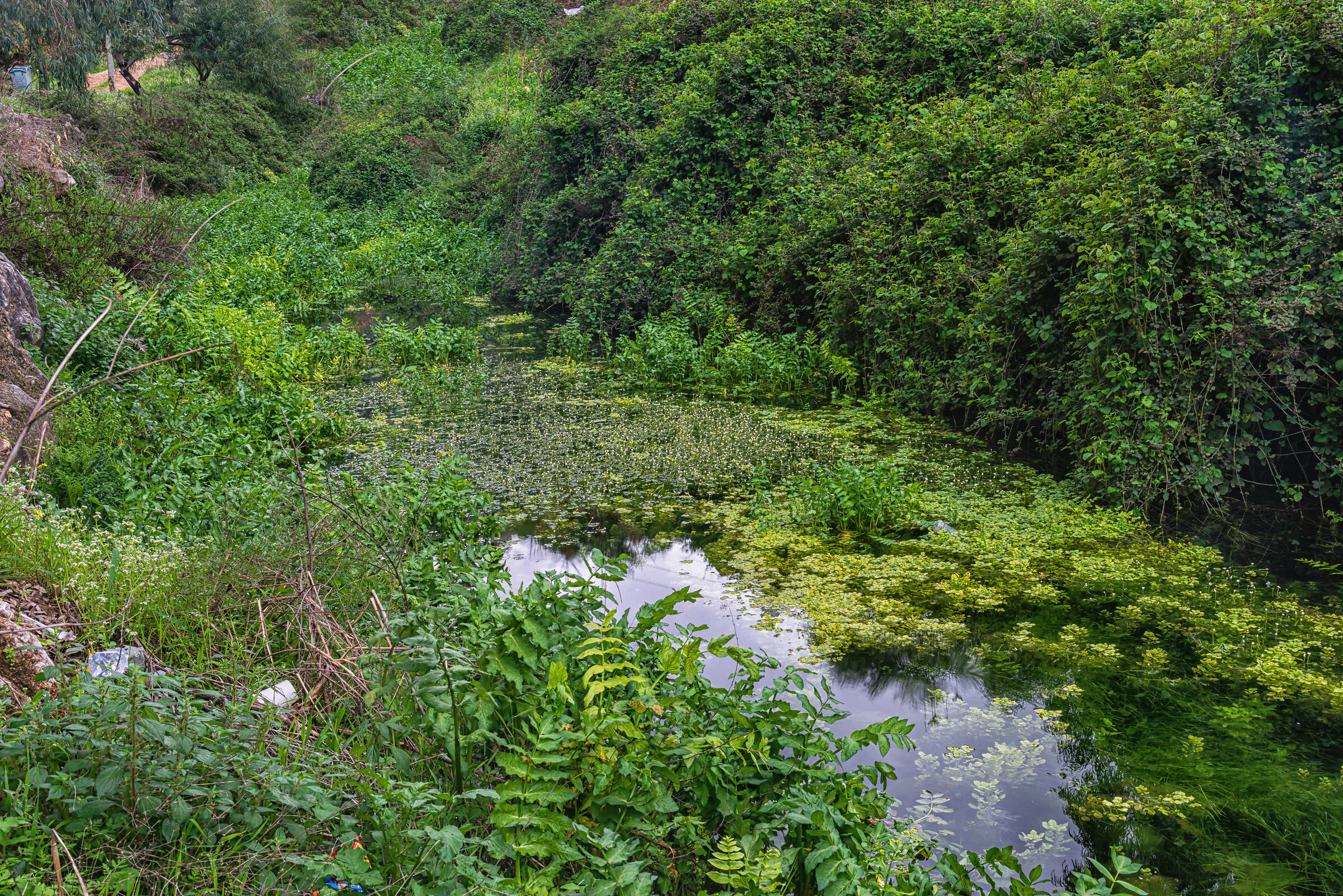 A Day At AlHujair Reserve