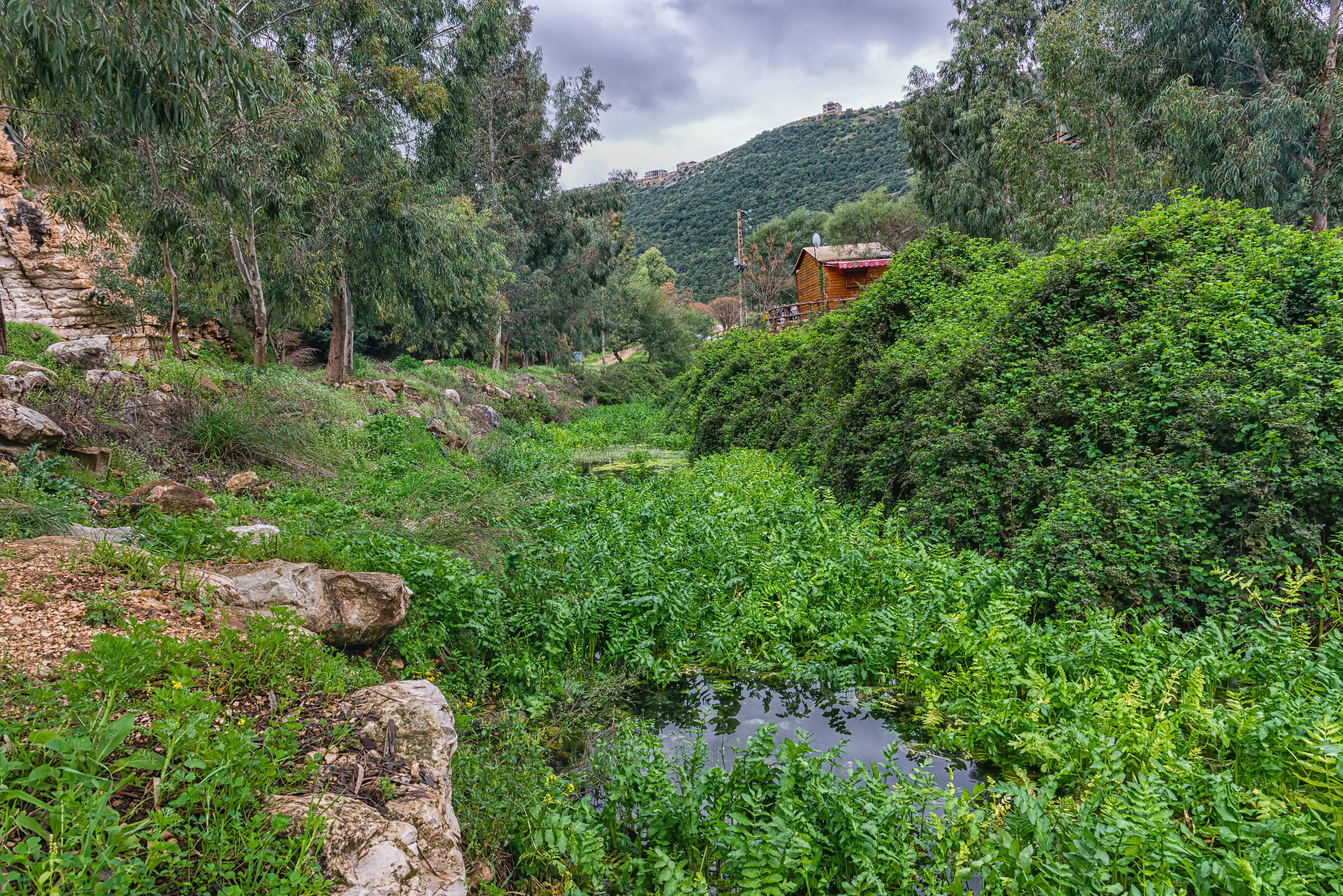 A Day At AlHujair Reserve