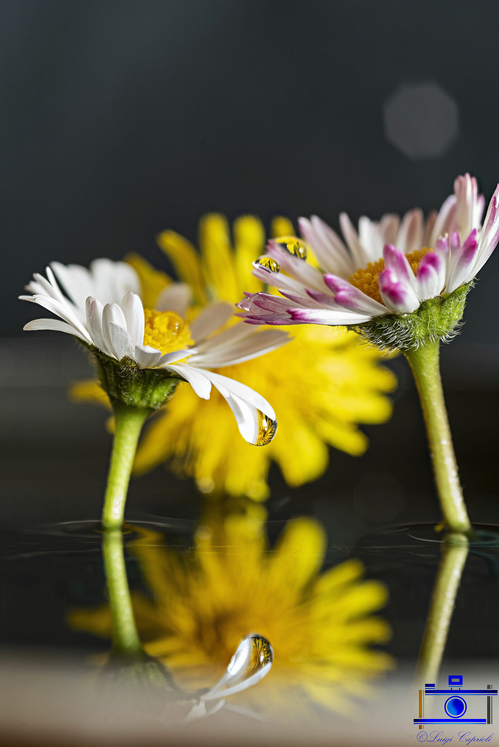 To pass the time #iorestoacasa