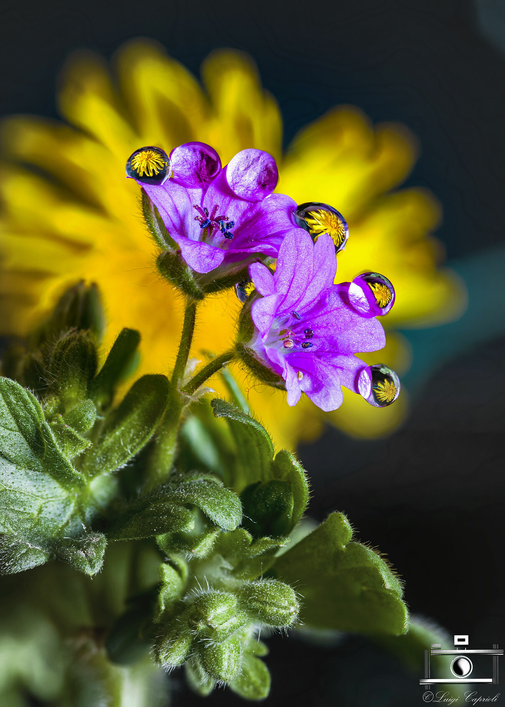 To pass the time #iorestoacasa