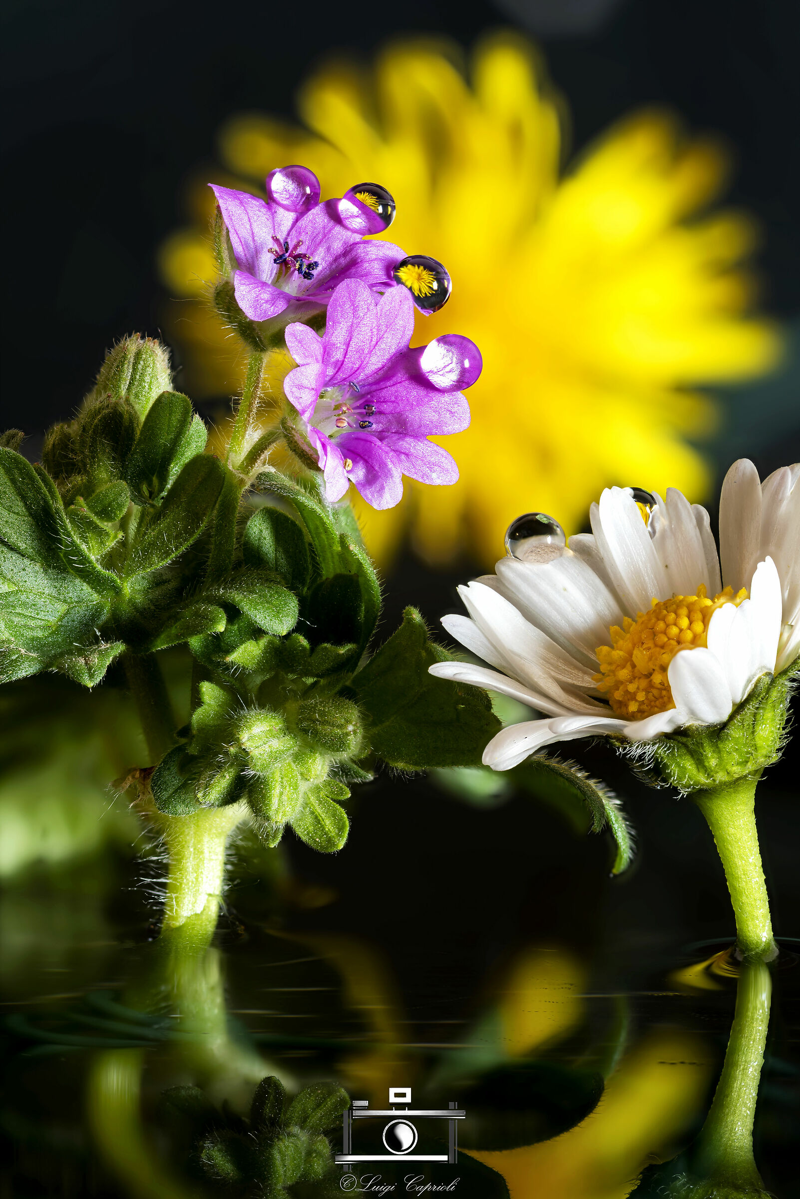 To pass the time #iorestoacasa