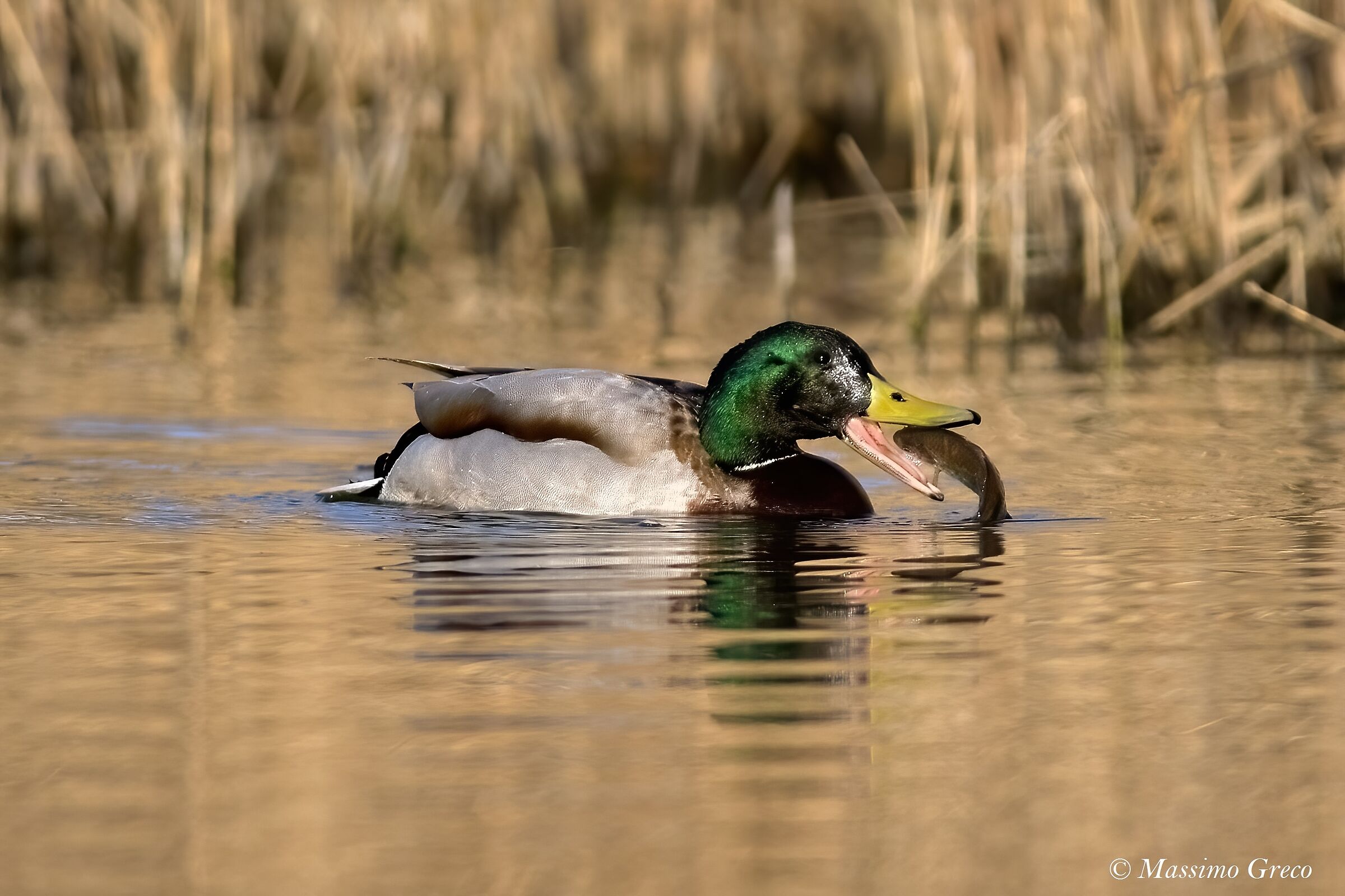 La natura non finisce mai di stupirti