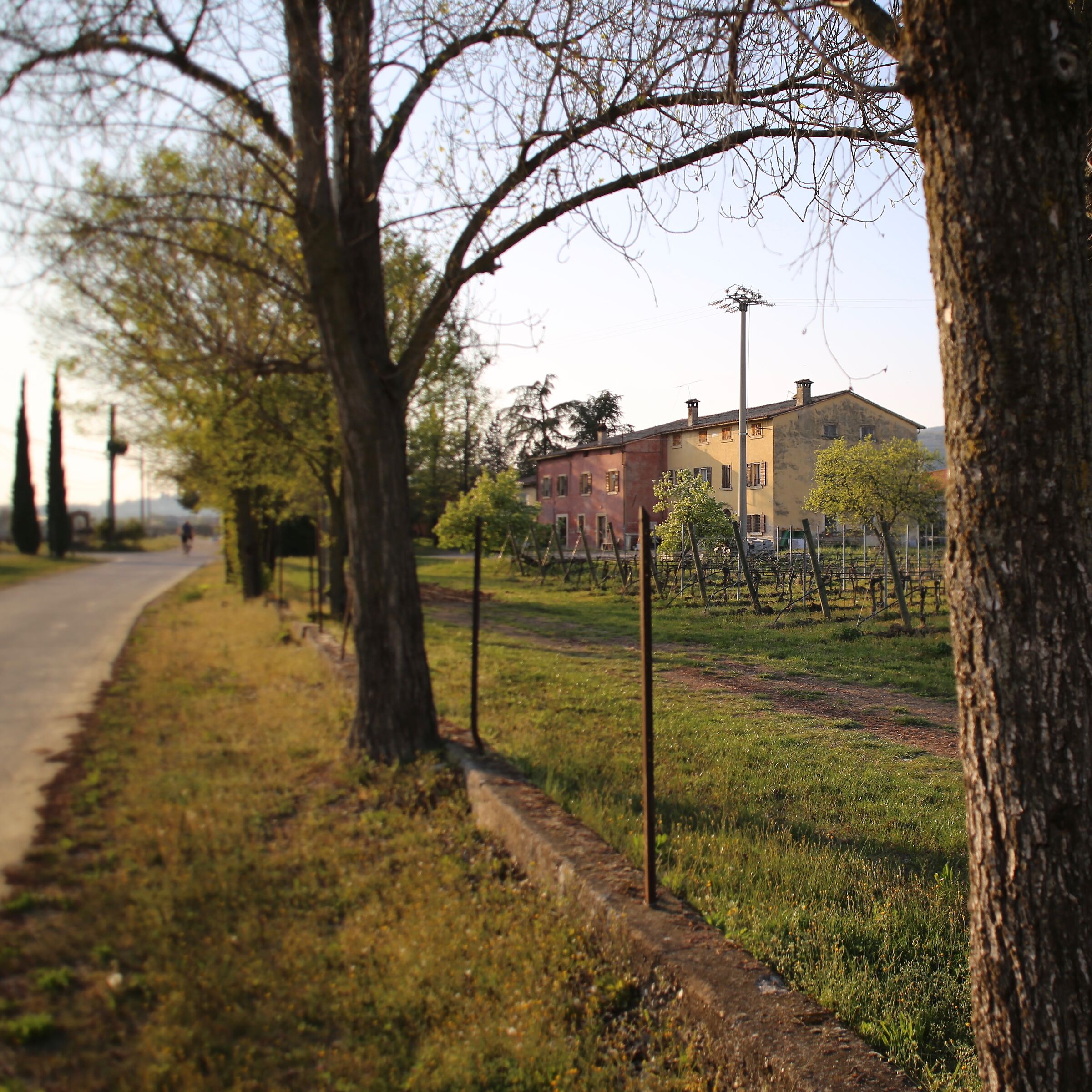 Nella terra dell'Amarone