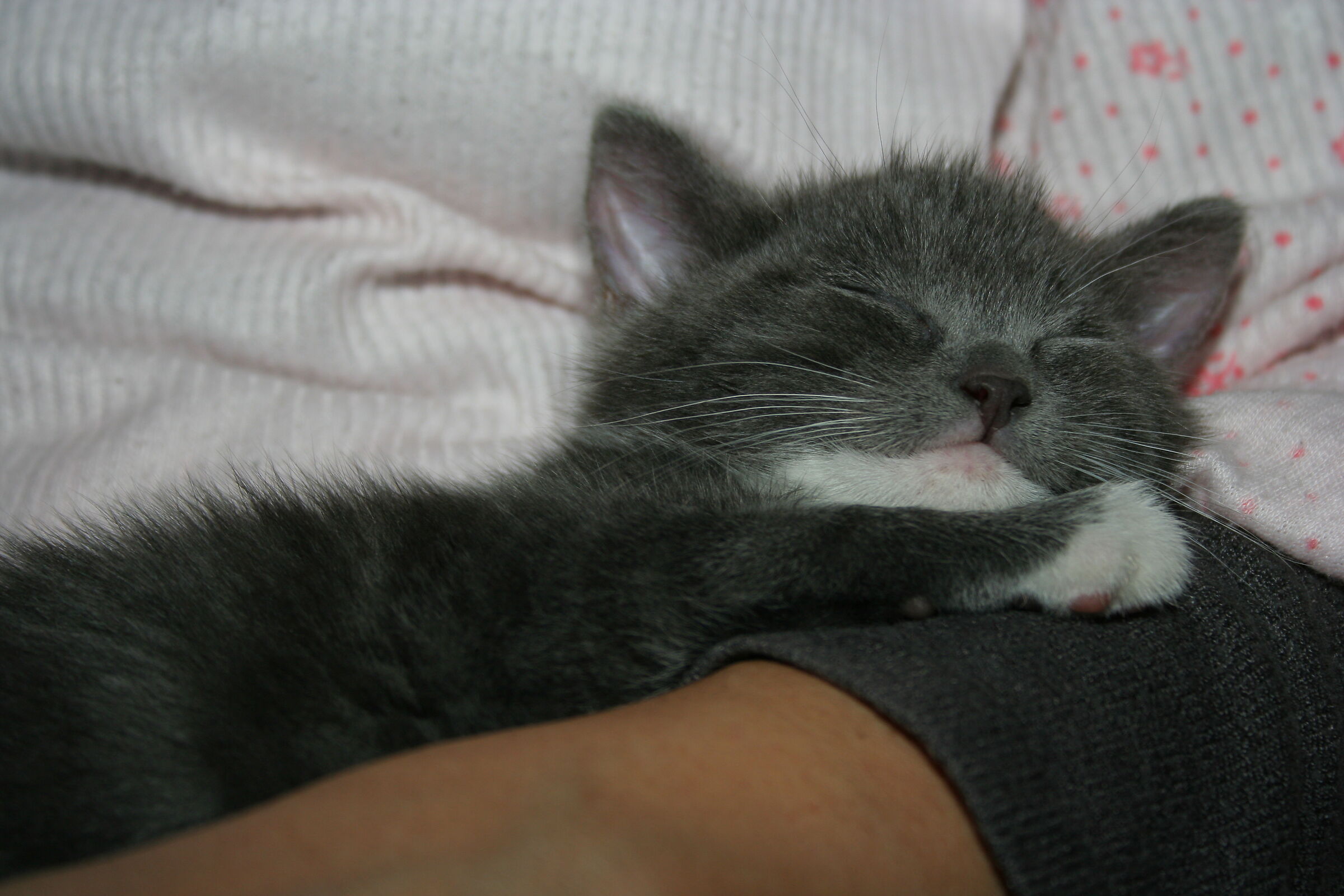 A comfortable cradle