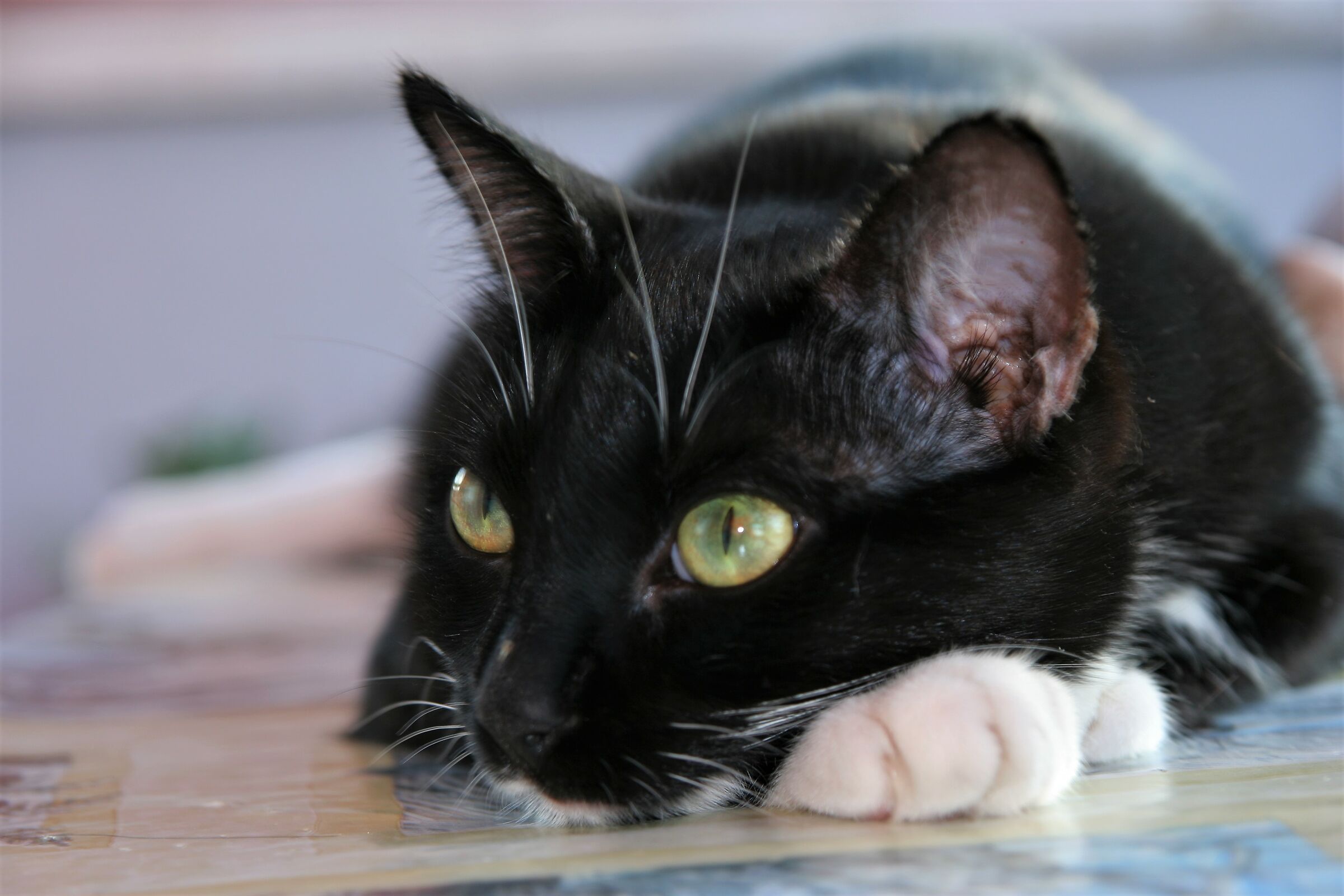 What are you watching?