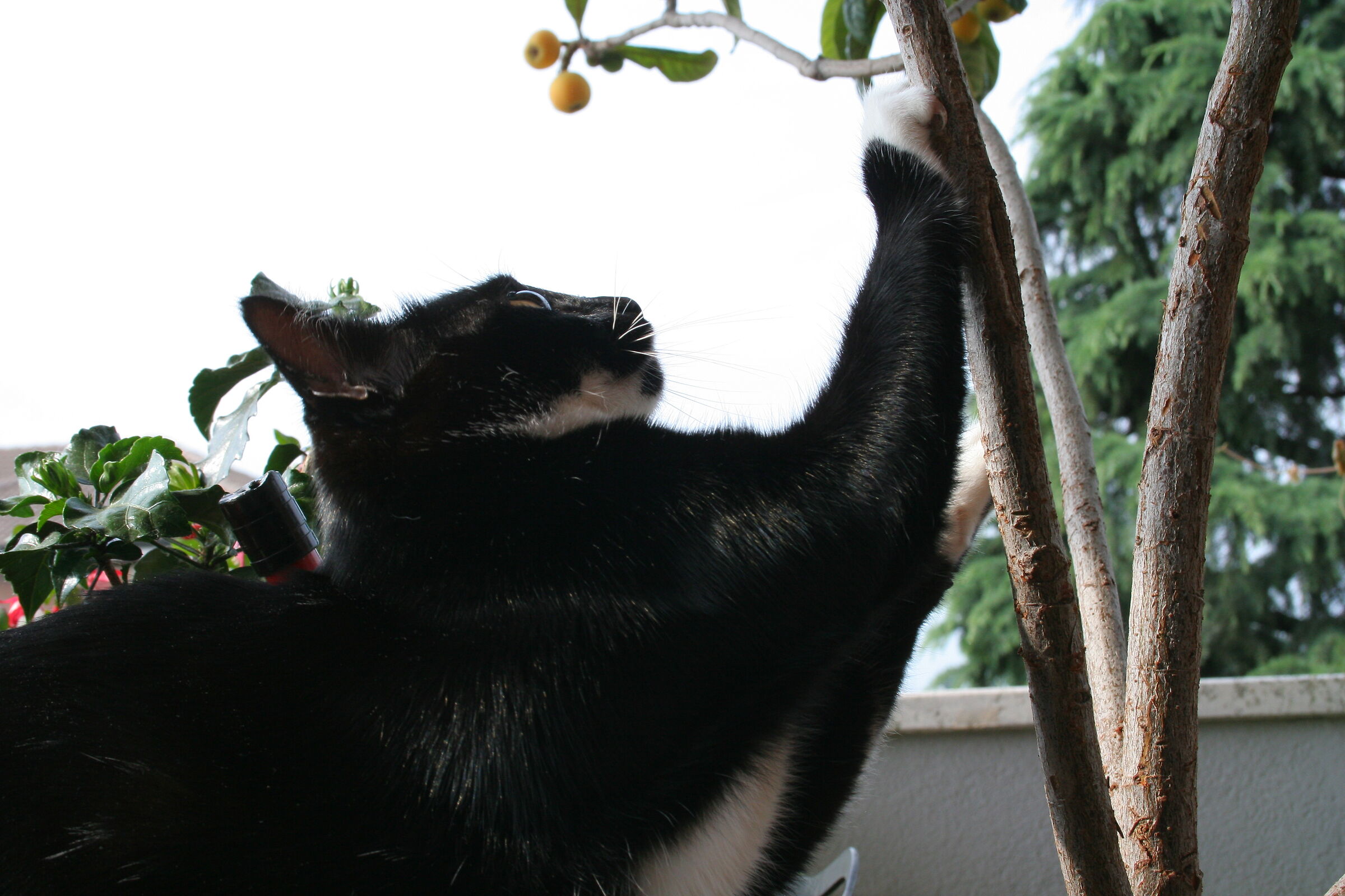 I'm going to get my nails done.