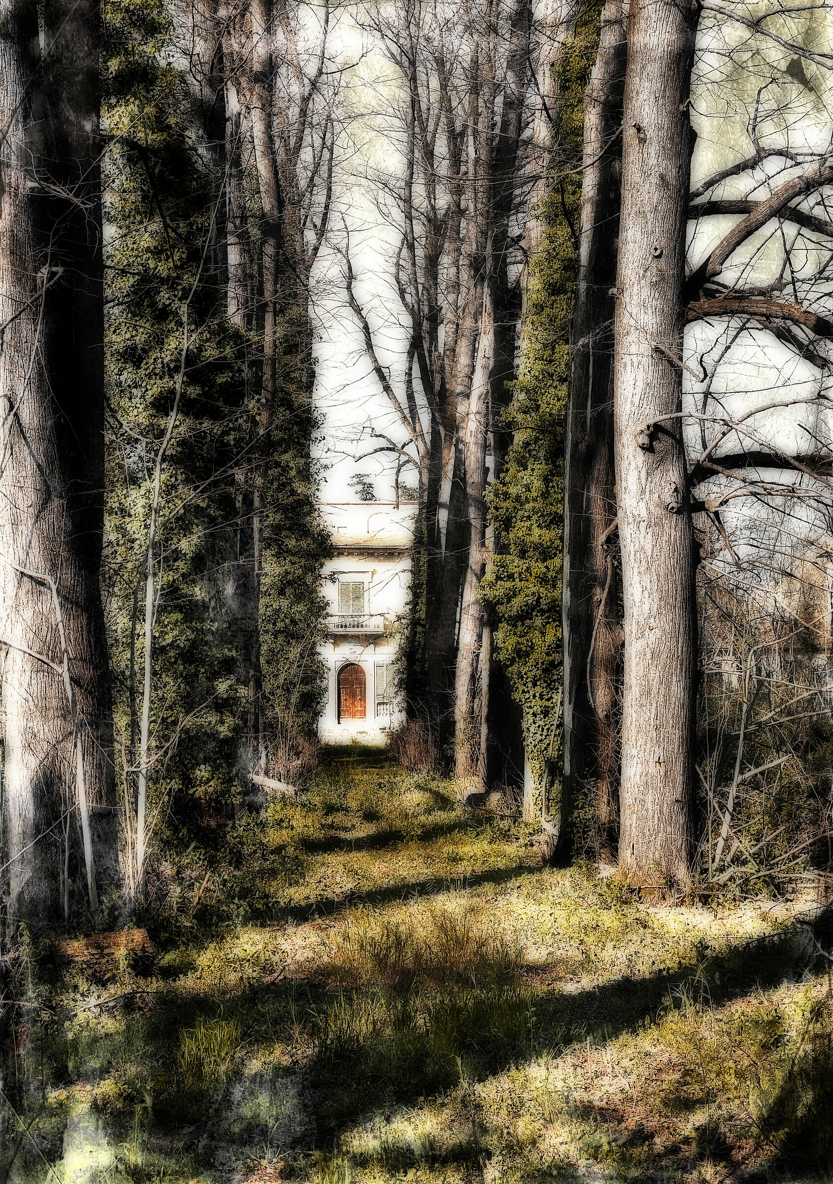 Villa Naldini Niccolini