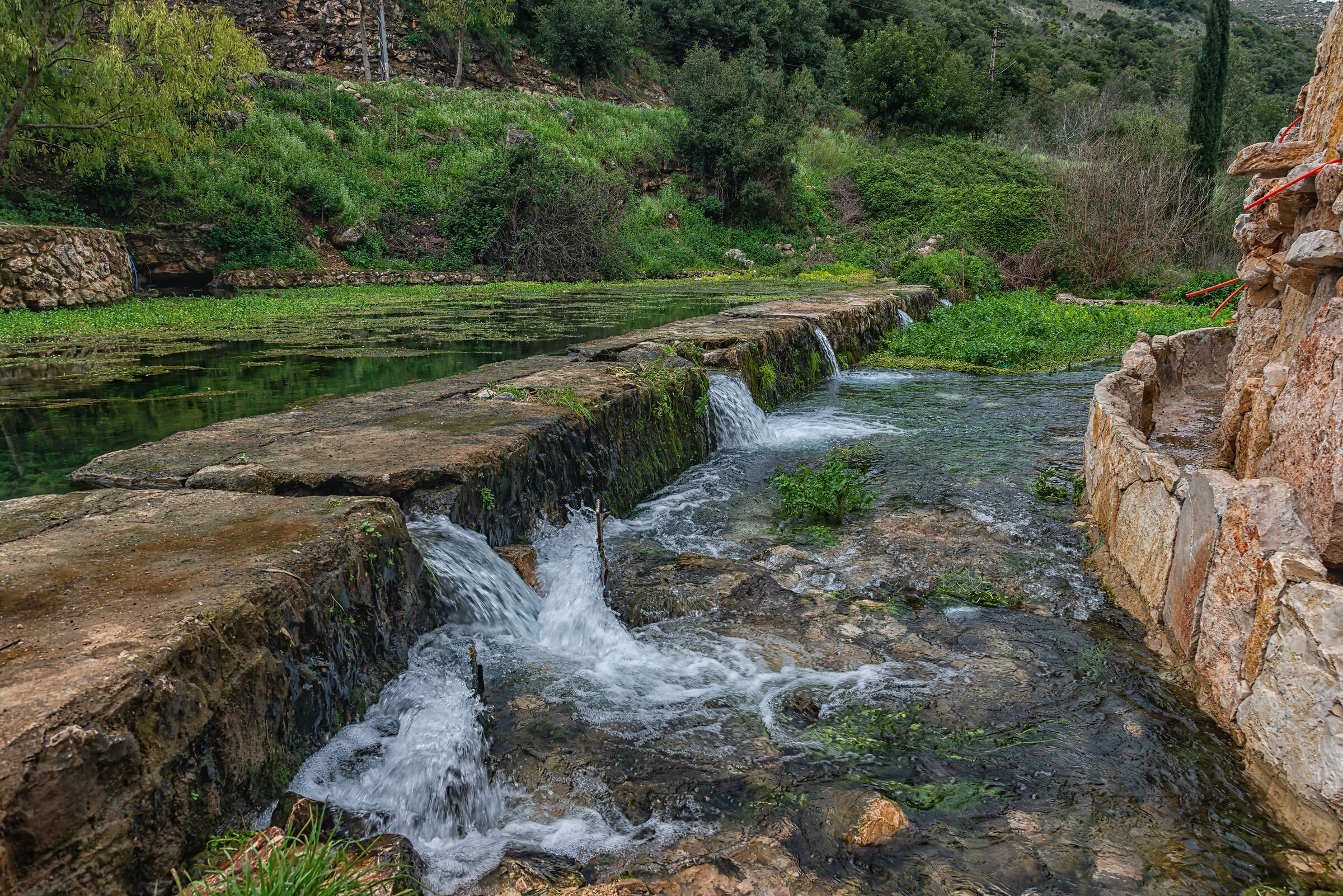A Day At AlHujair Reserve
