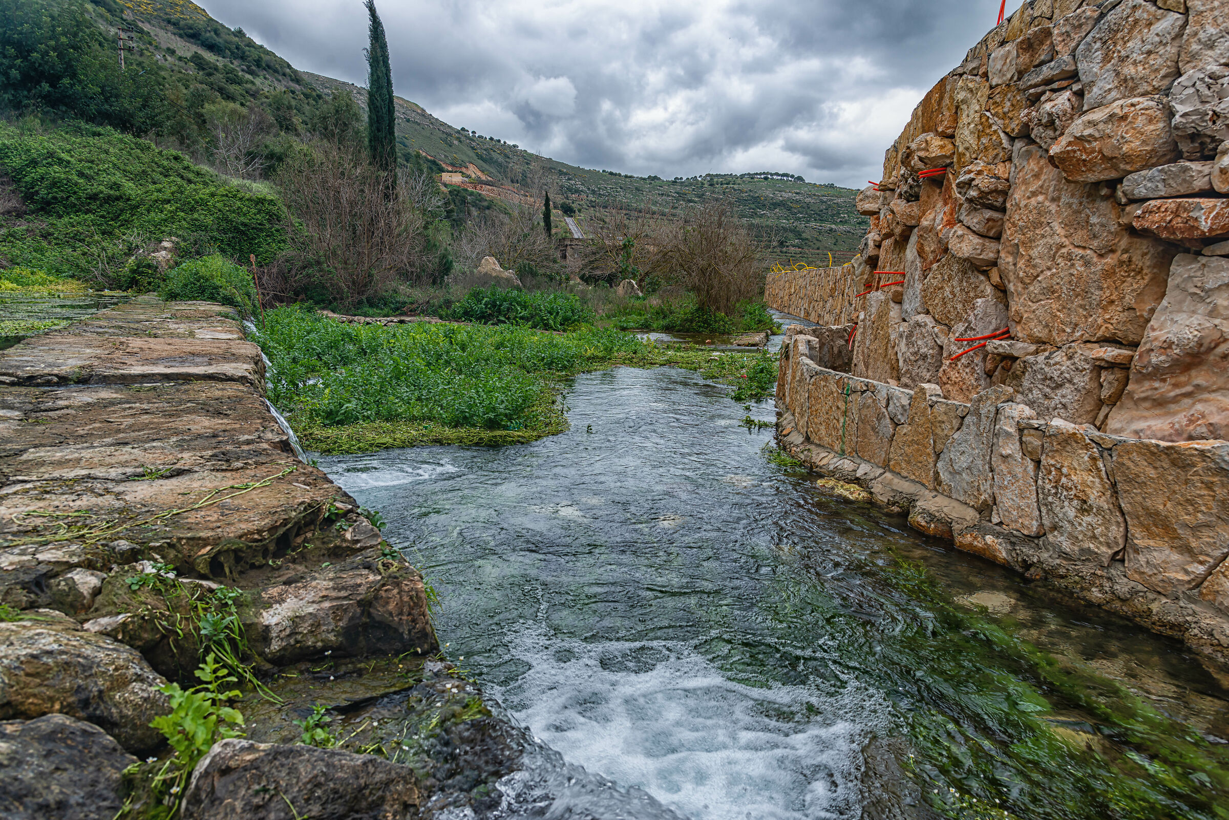 A Day At AlHujair Reserve