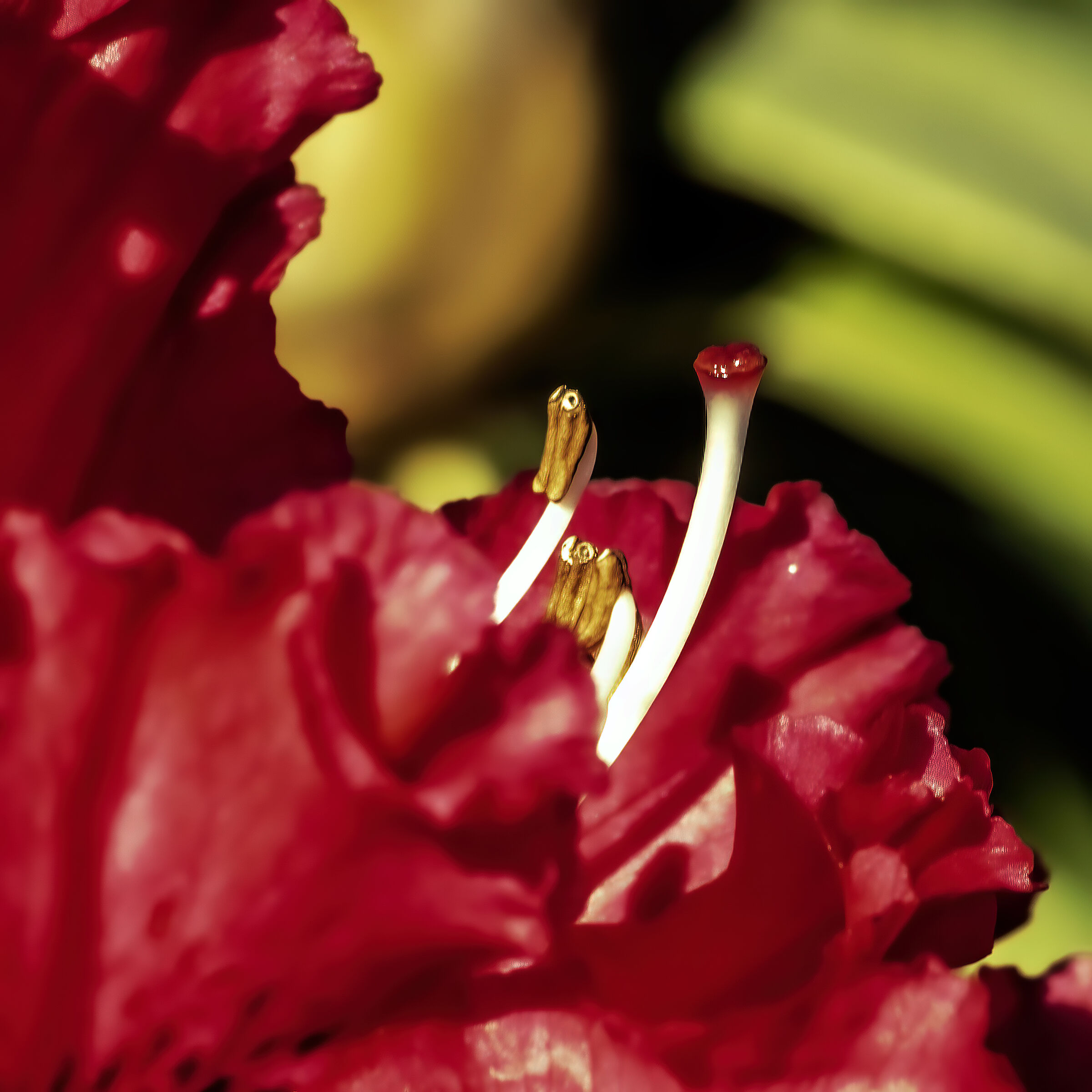 A detail is a world often without borders