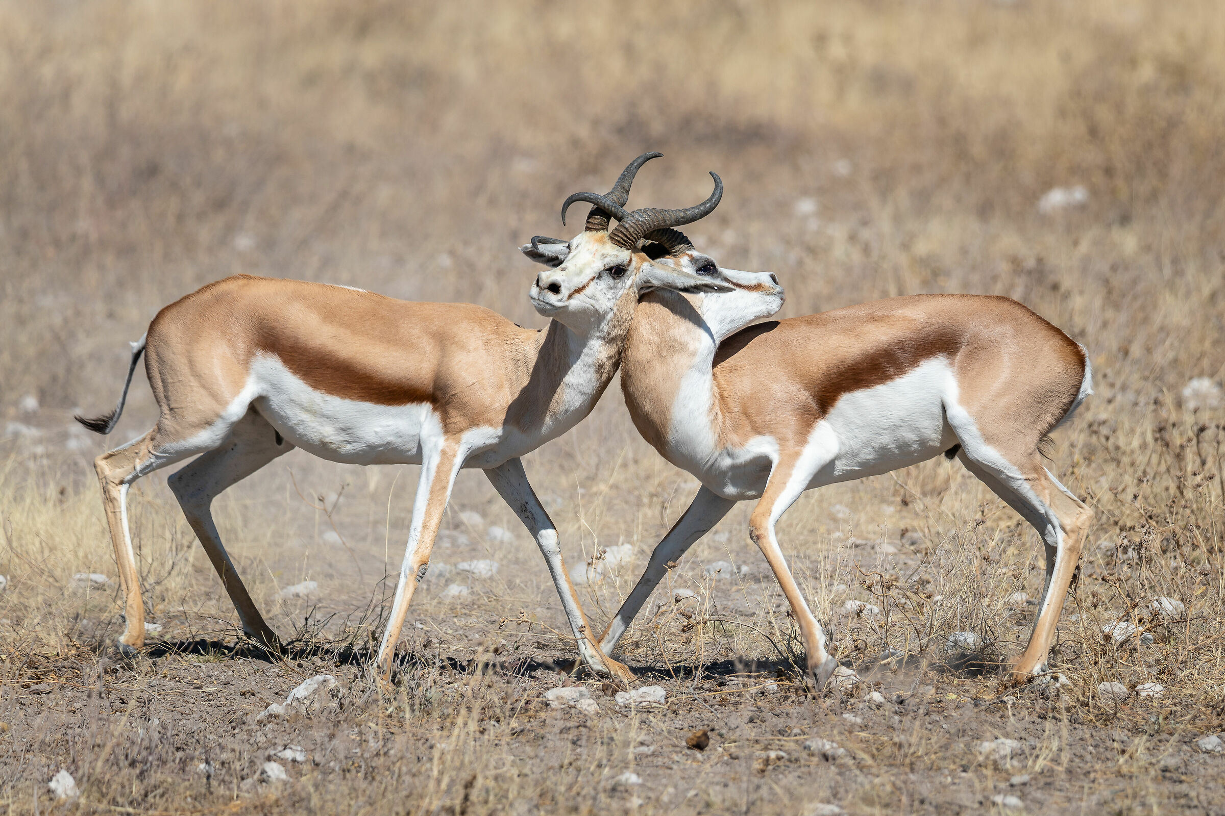 Dangerous intersections